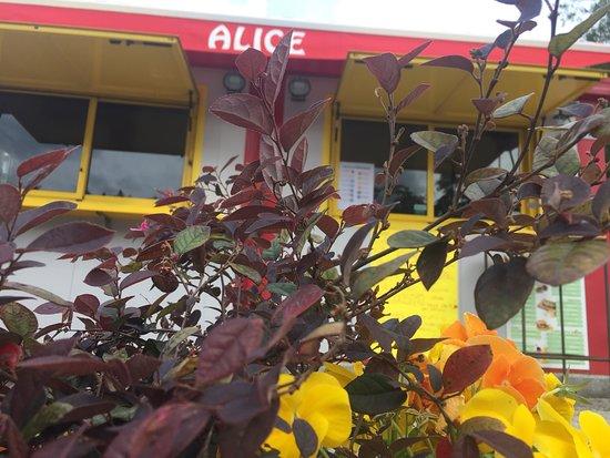La Piadina Di Alice