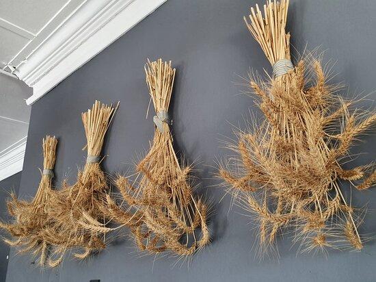 Saronsberg Kunskombuis