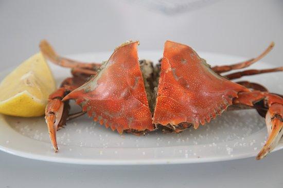 Karodromos