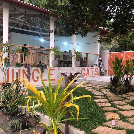 Jungle Cats