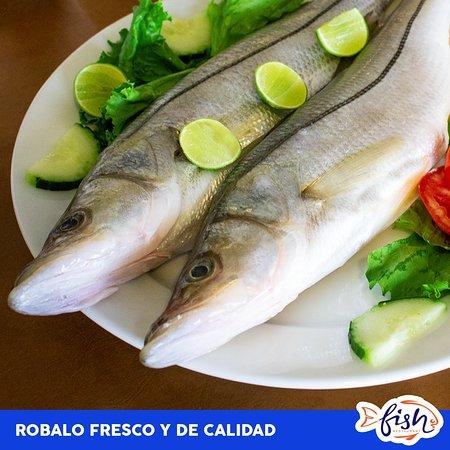 Fish Restaurant-Bar
