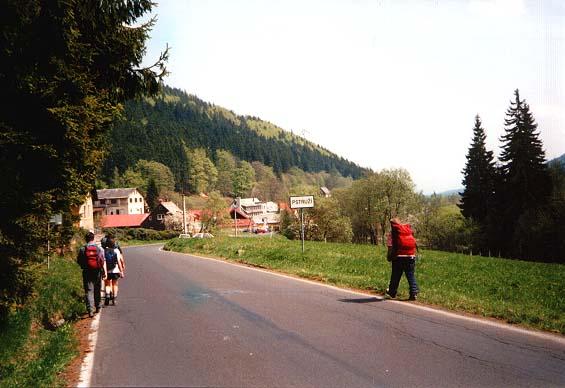 Pstruží