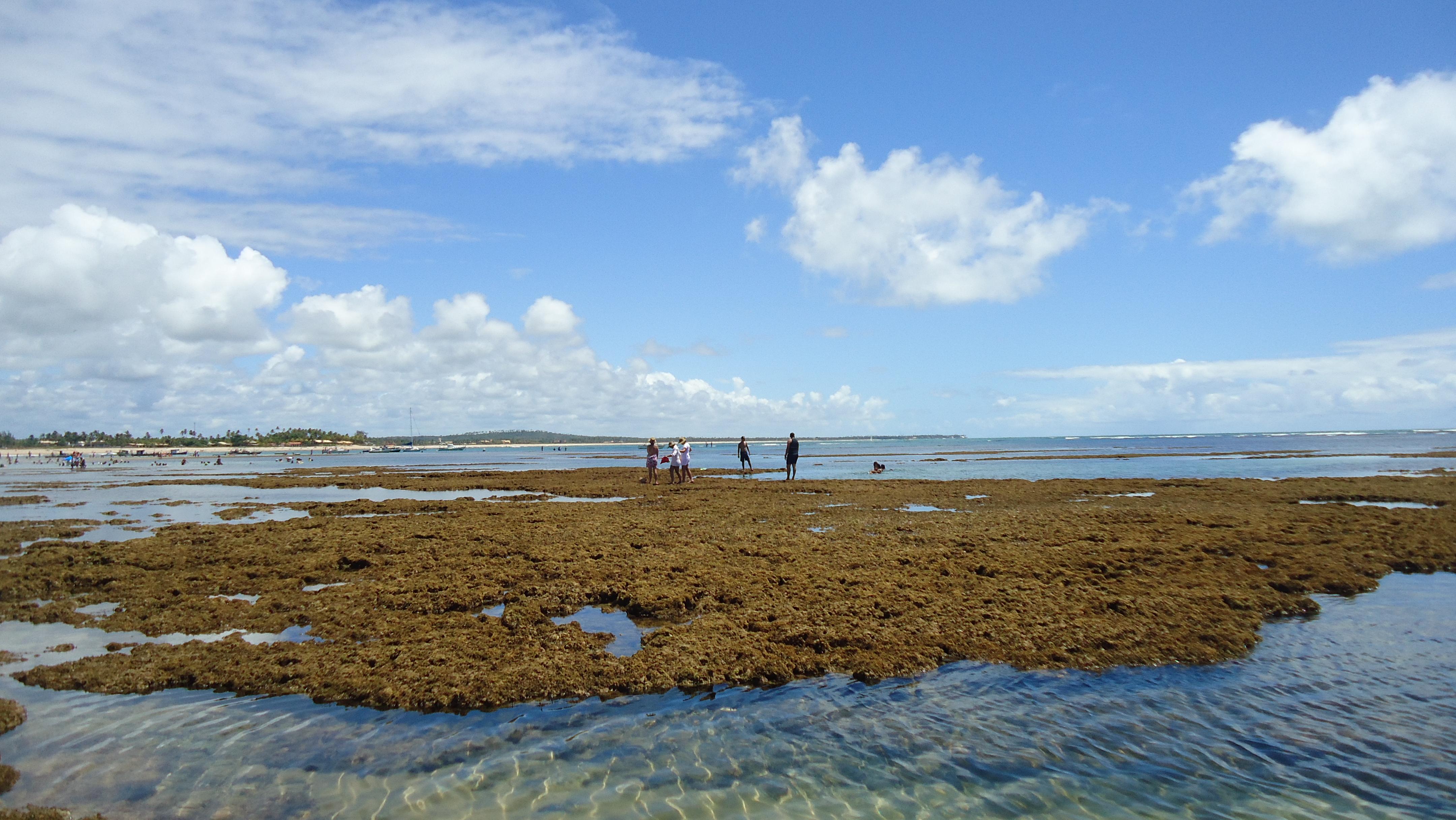 Praia de Itacimirim