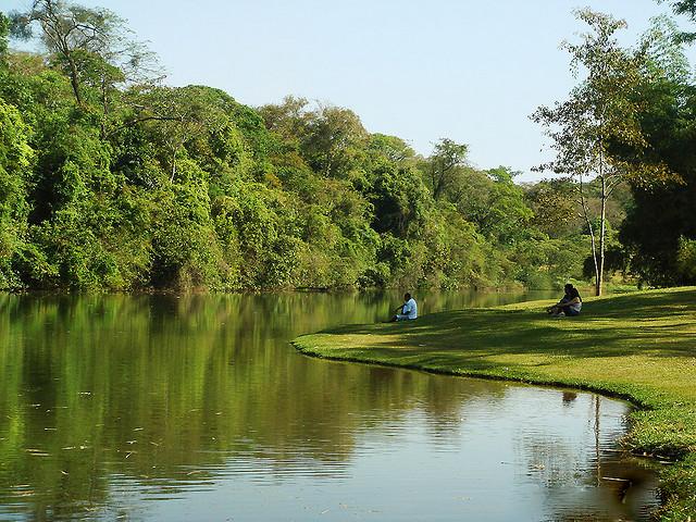 Jardim Botanico