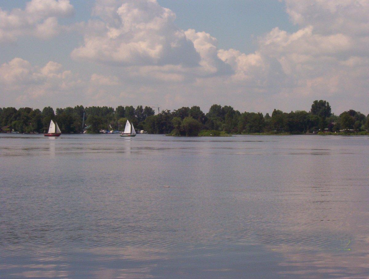 Reeuwijkse plassen