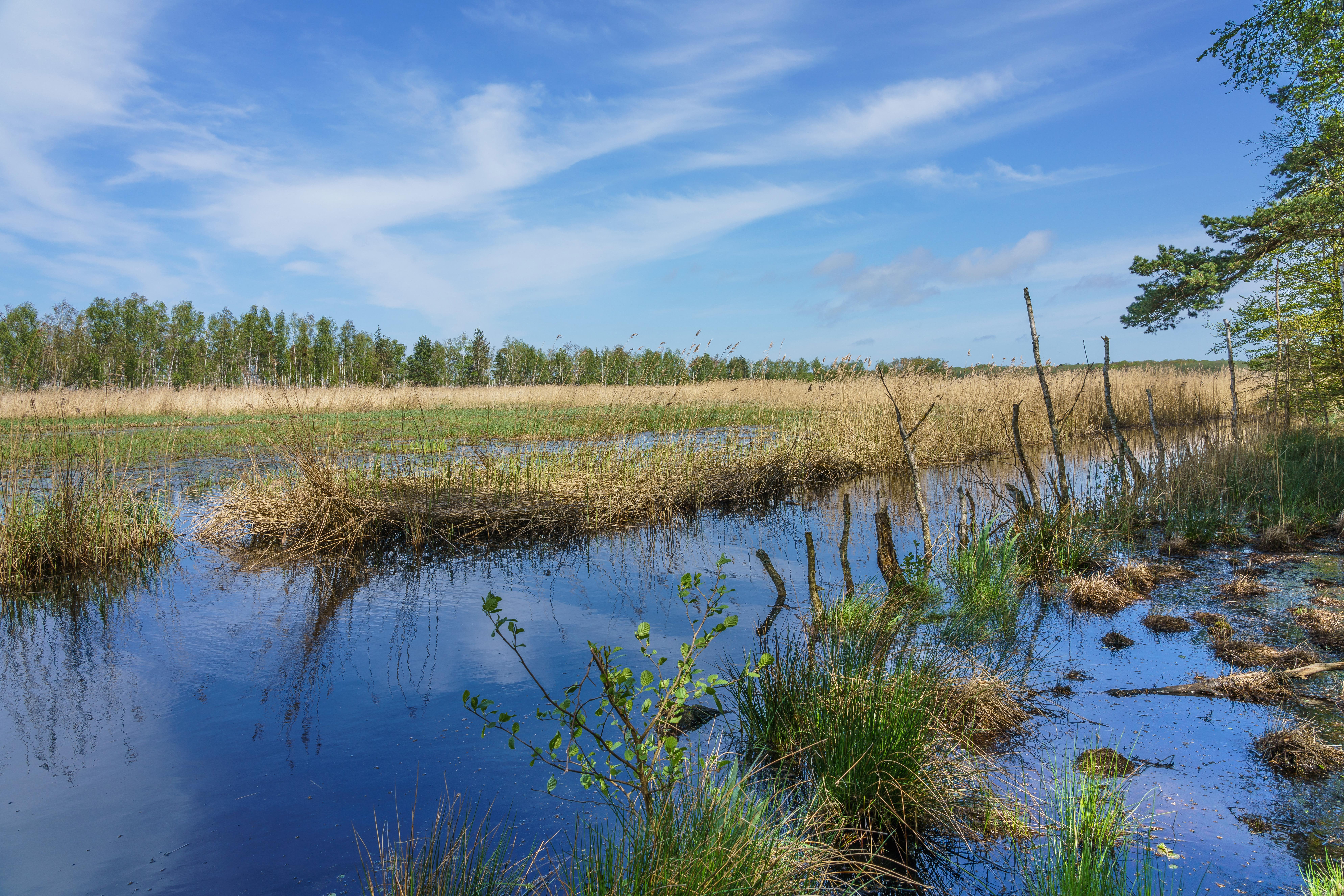 Heiligensee und Hutelmoor