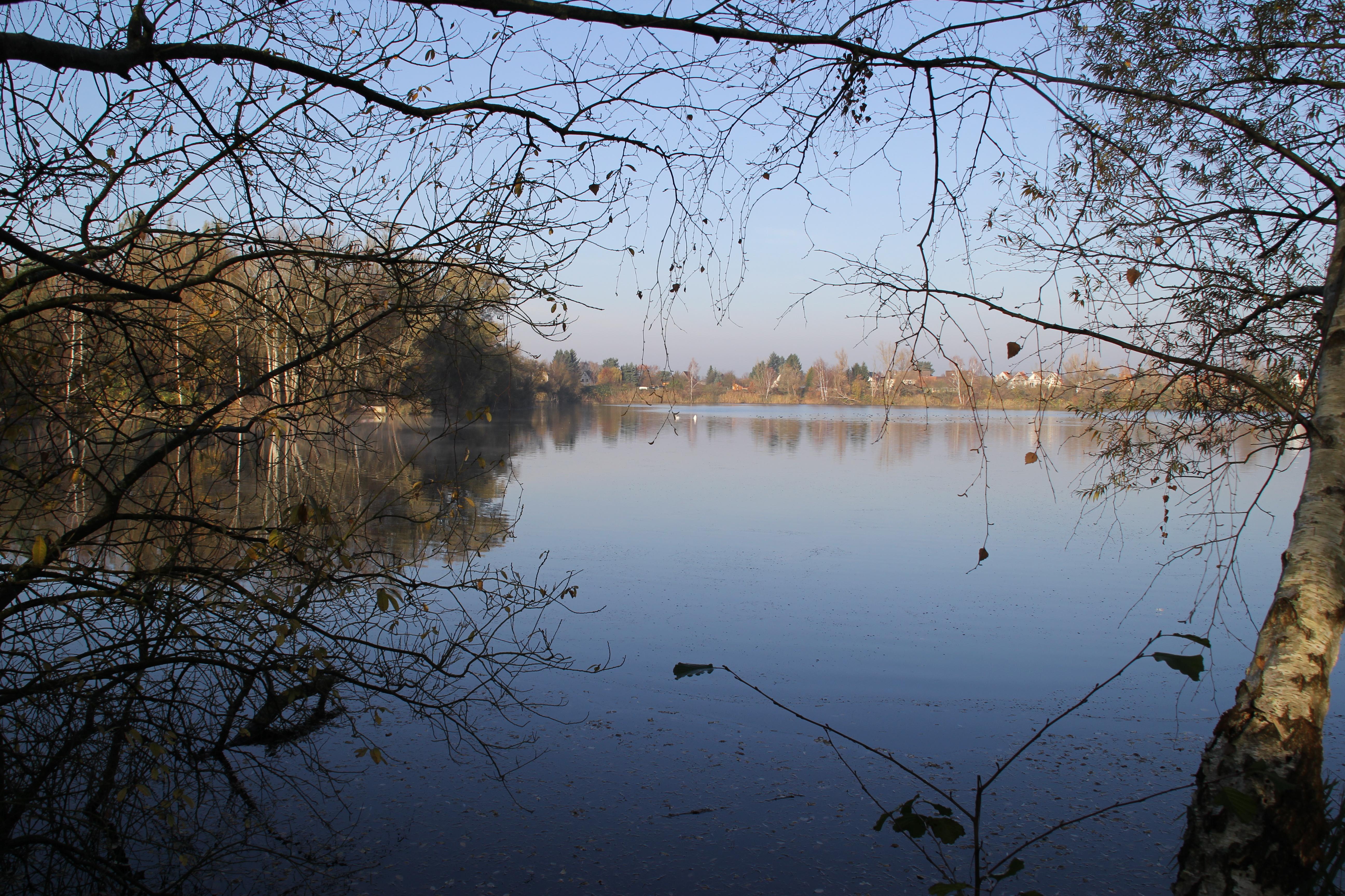 Kahler See