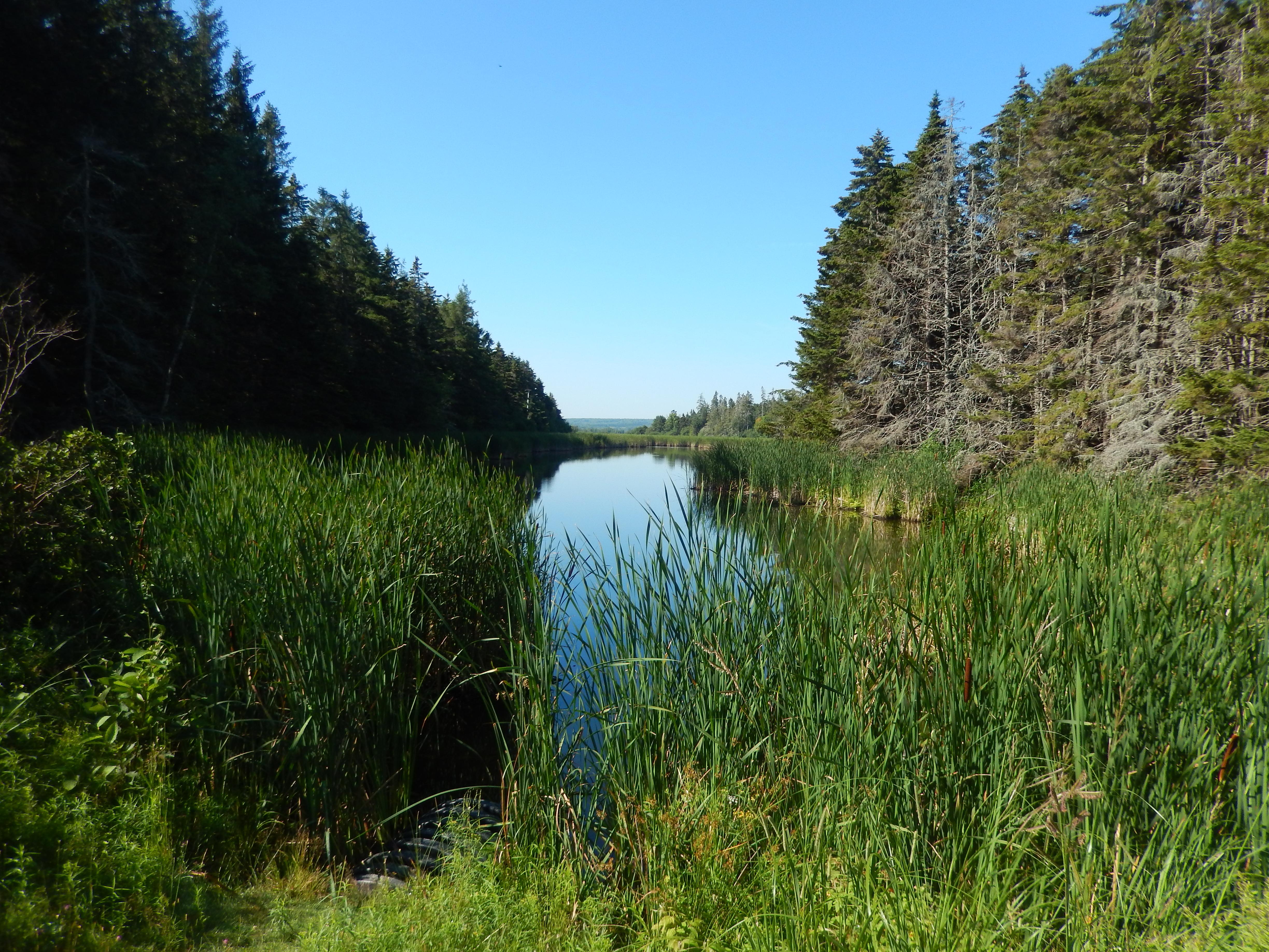 Amherst Point Migratory Bird Sanctuary