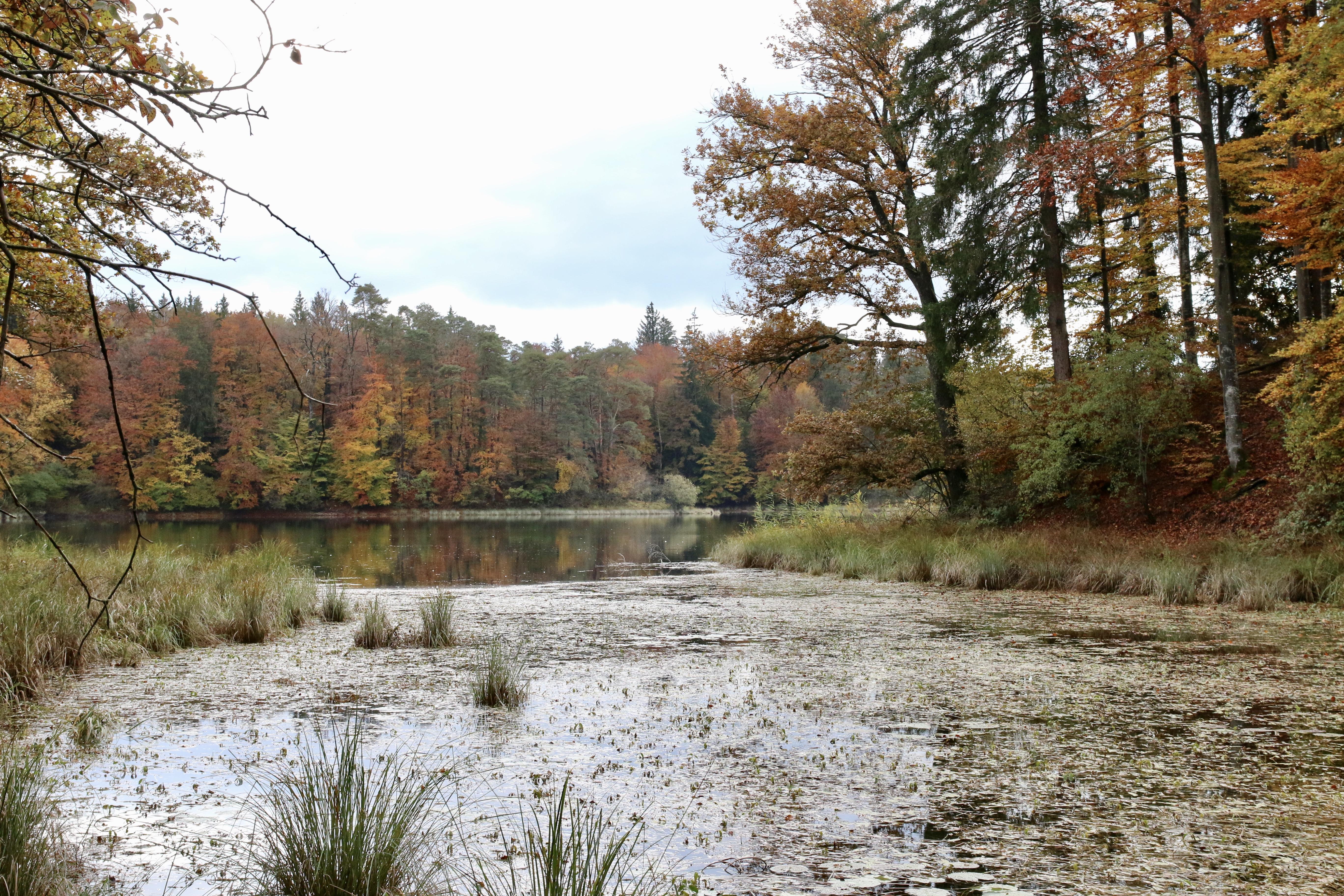 Frechen-See