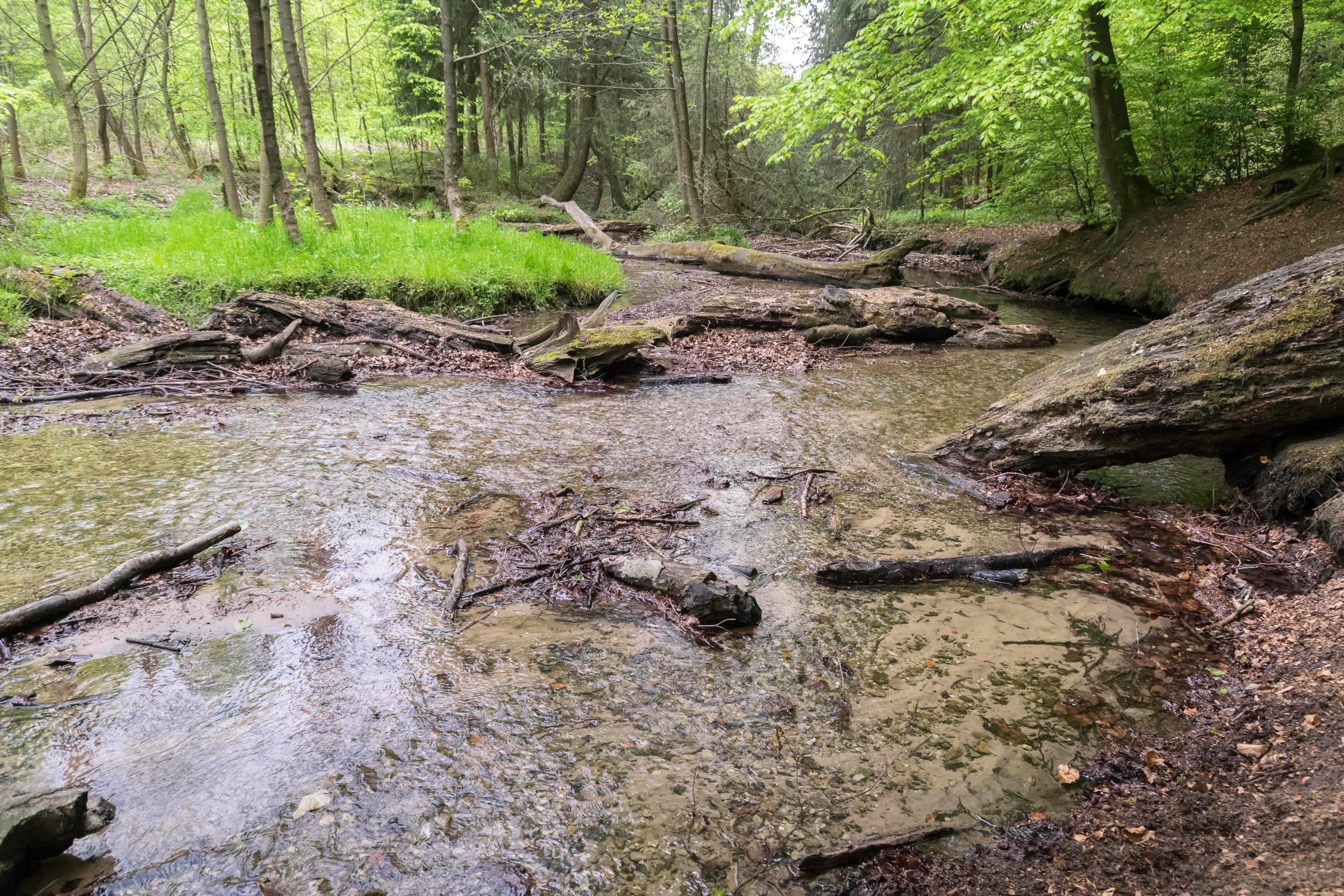Menkhauser Bachtal