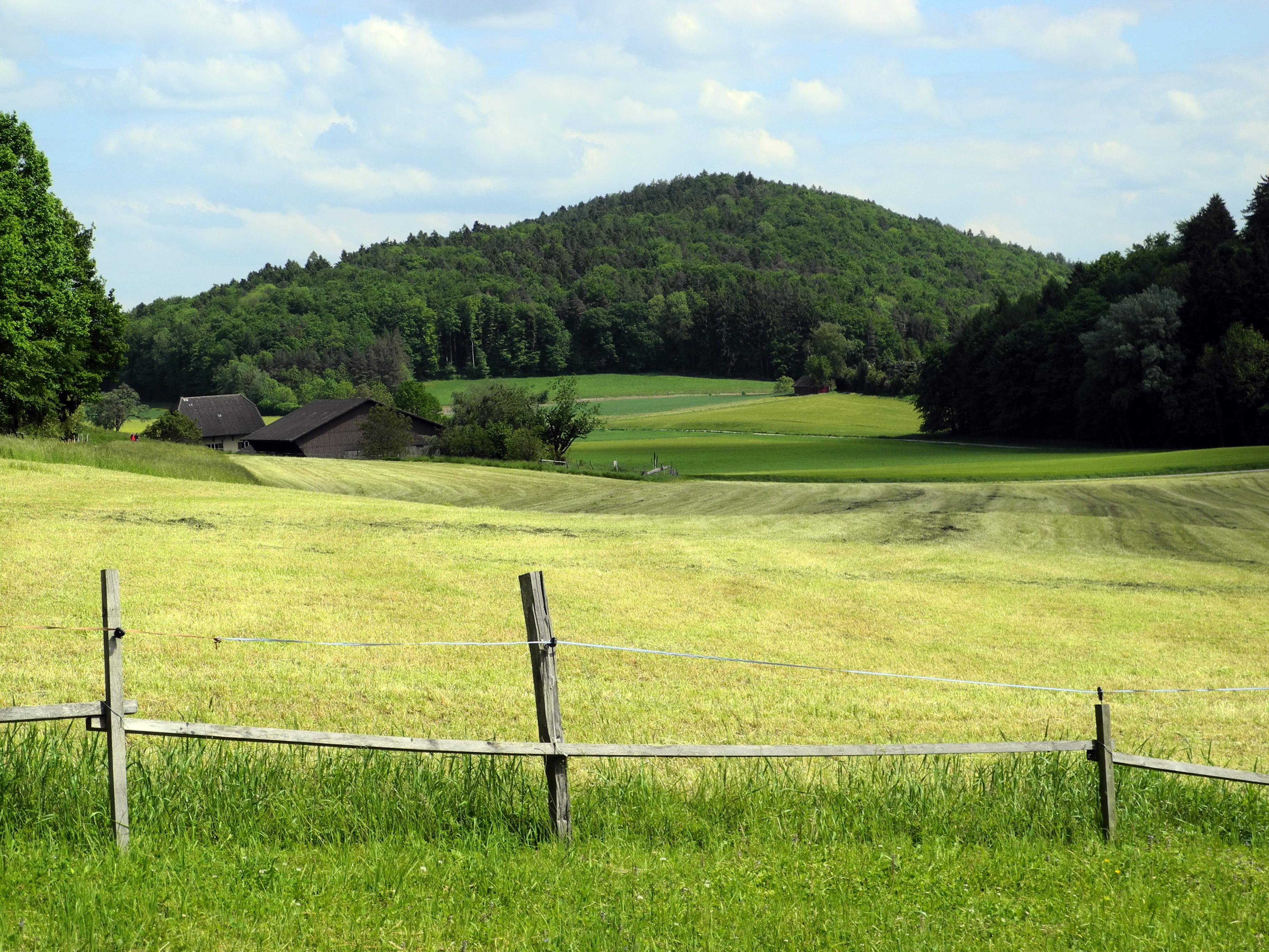 Altberg