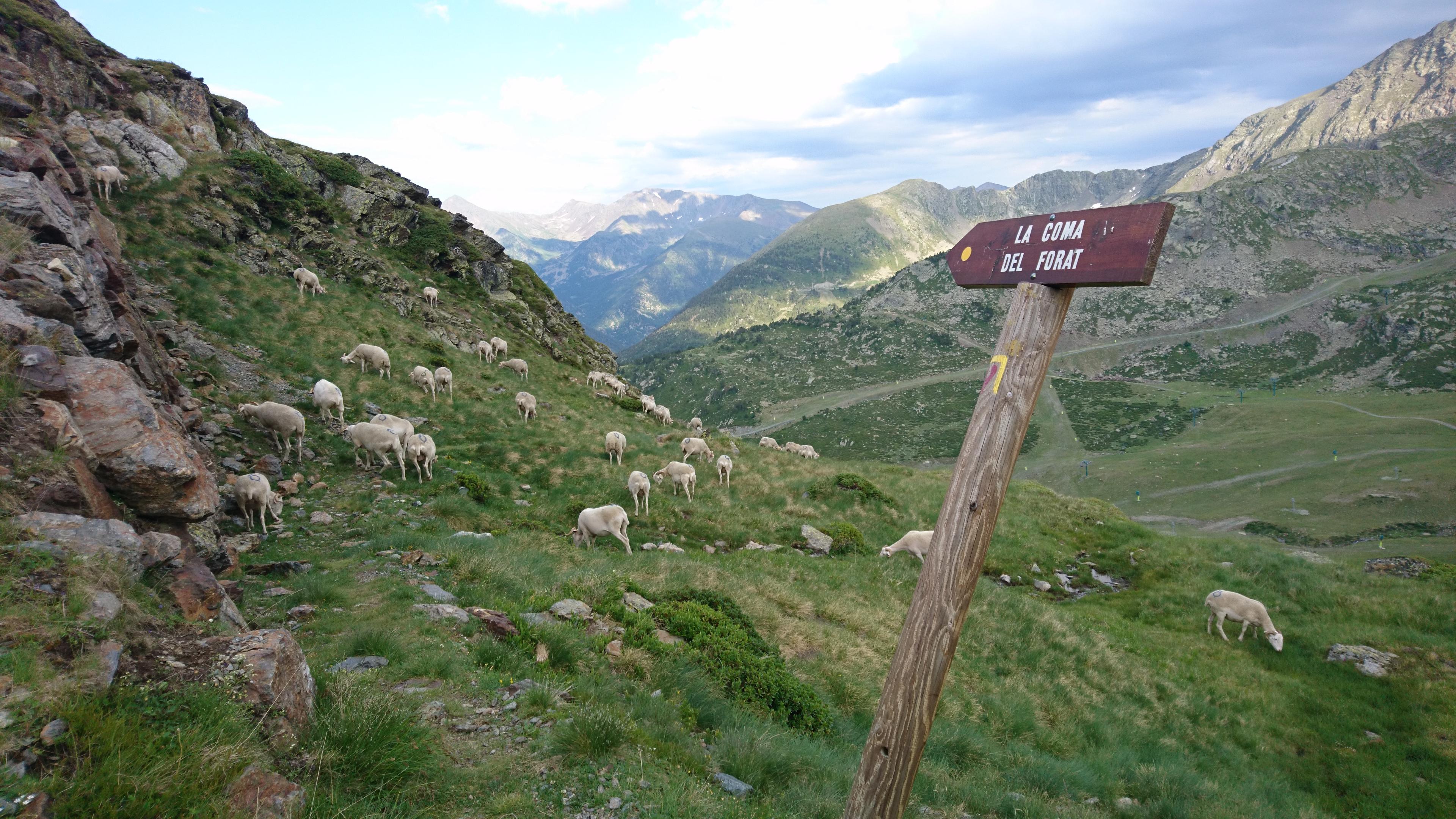 Pic de l'Hortell