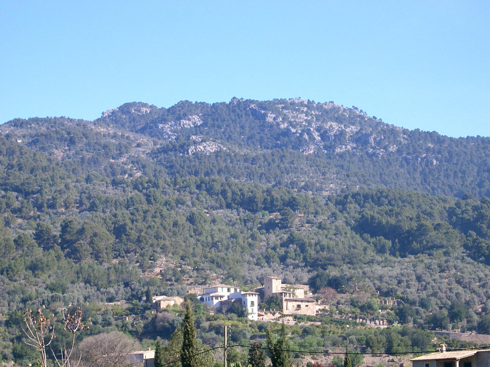 Binibassi