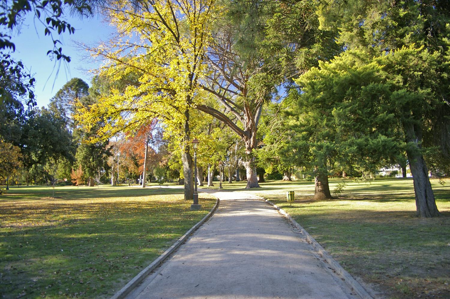 Collins Park