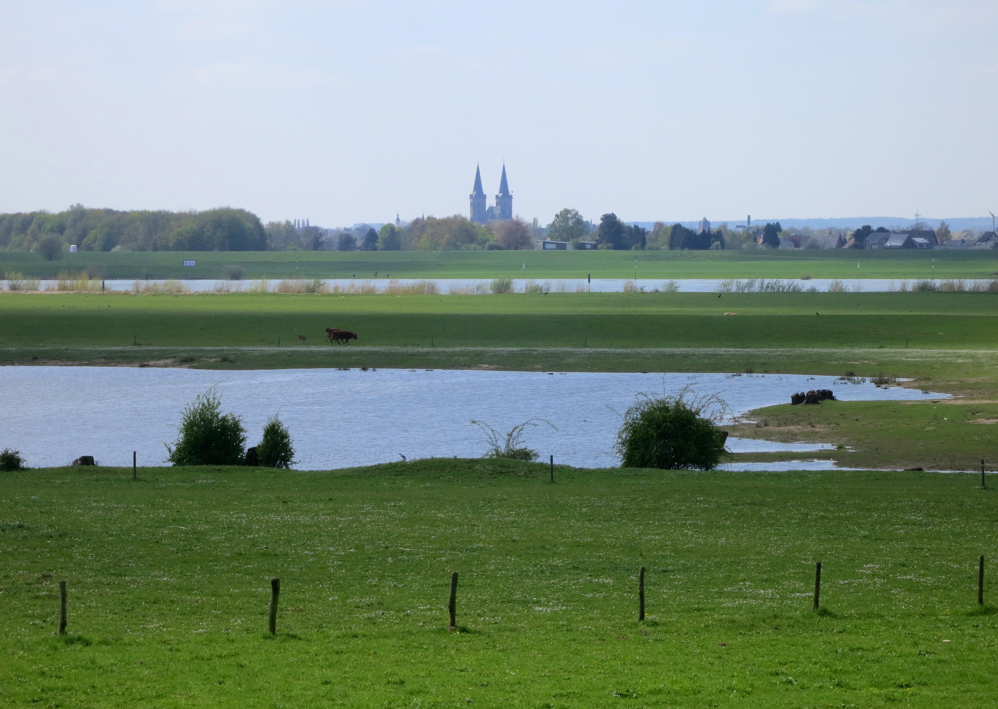 Rheinaue Bislich-Vahnum