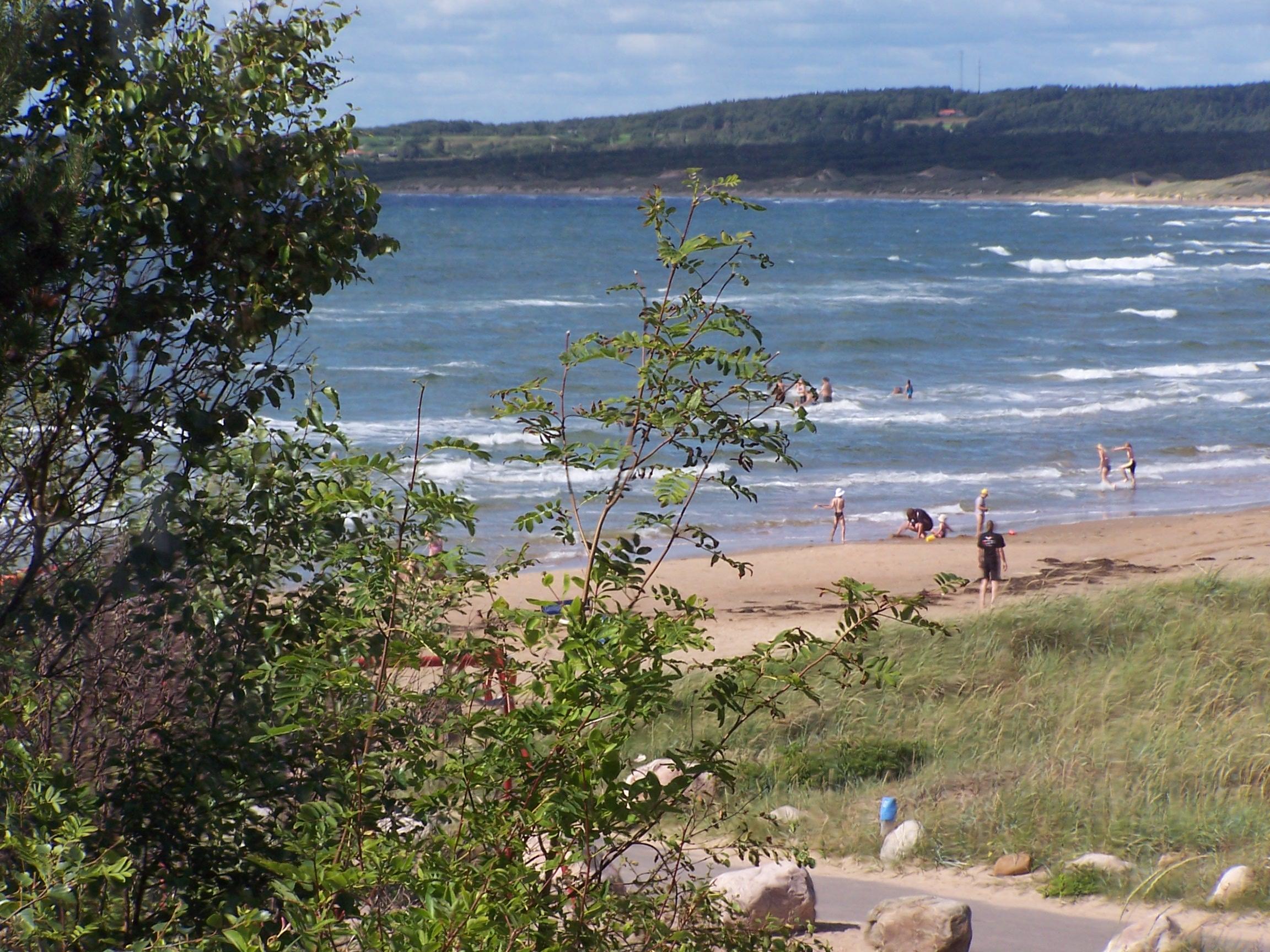 Tylösand