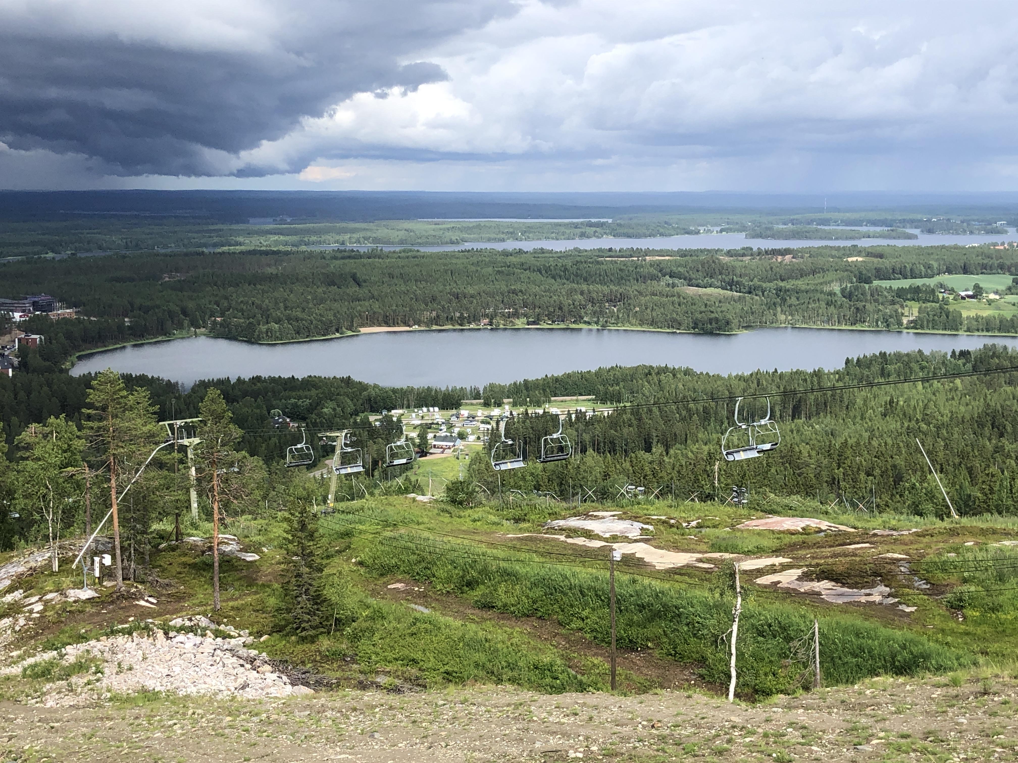 Sarkinen