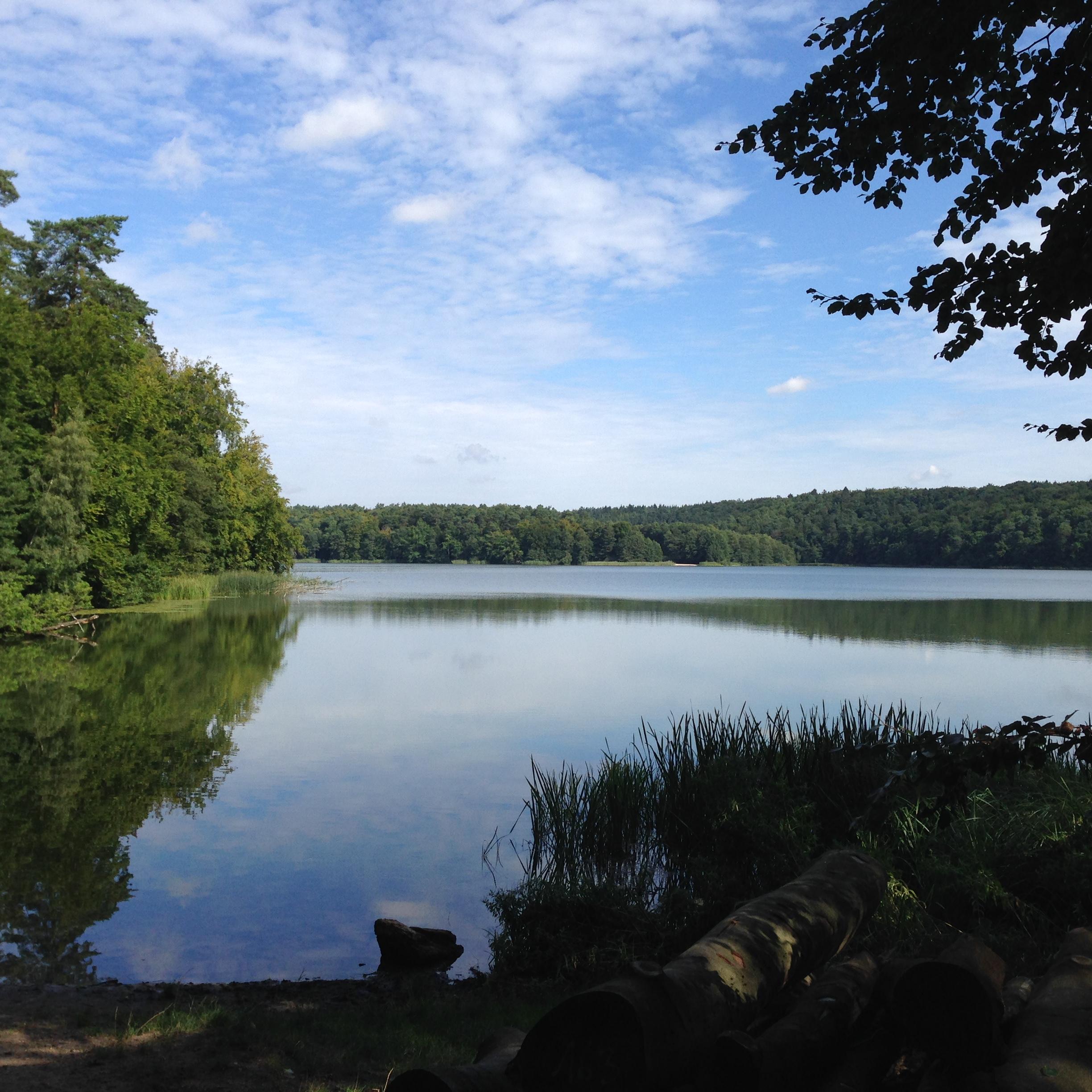 Lutauer See