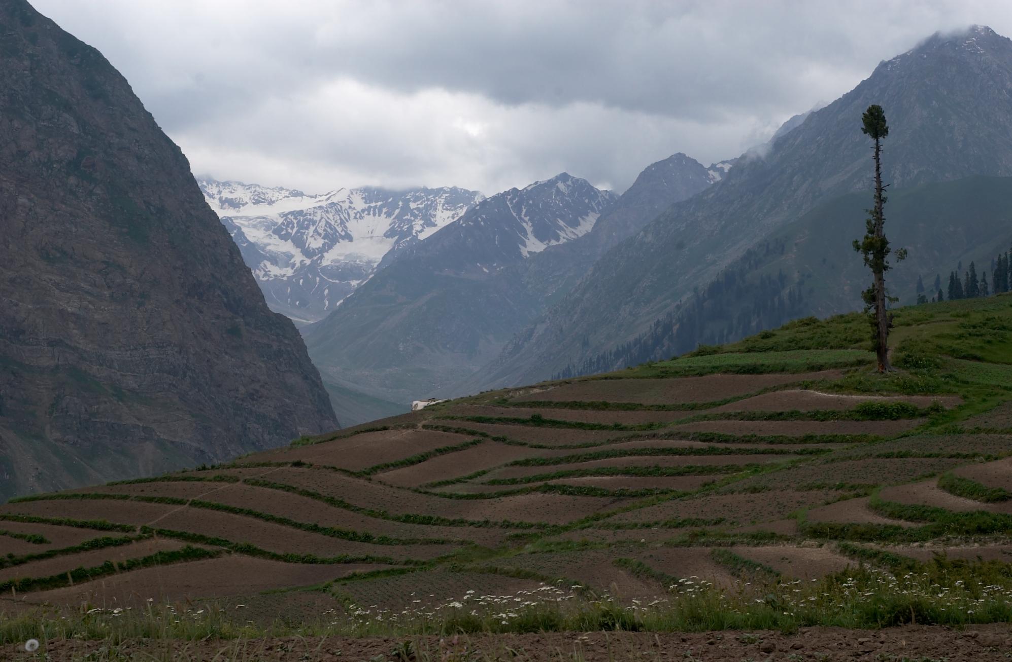 Lalazar