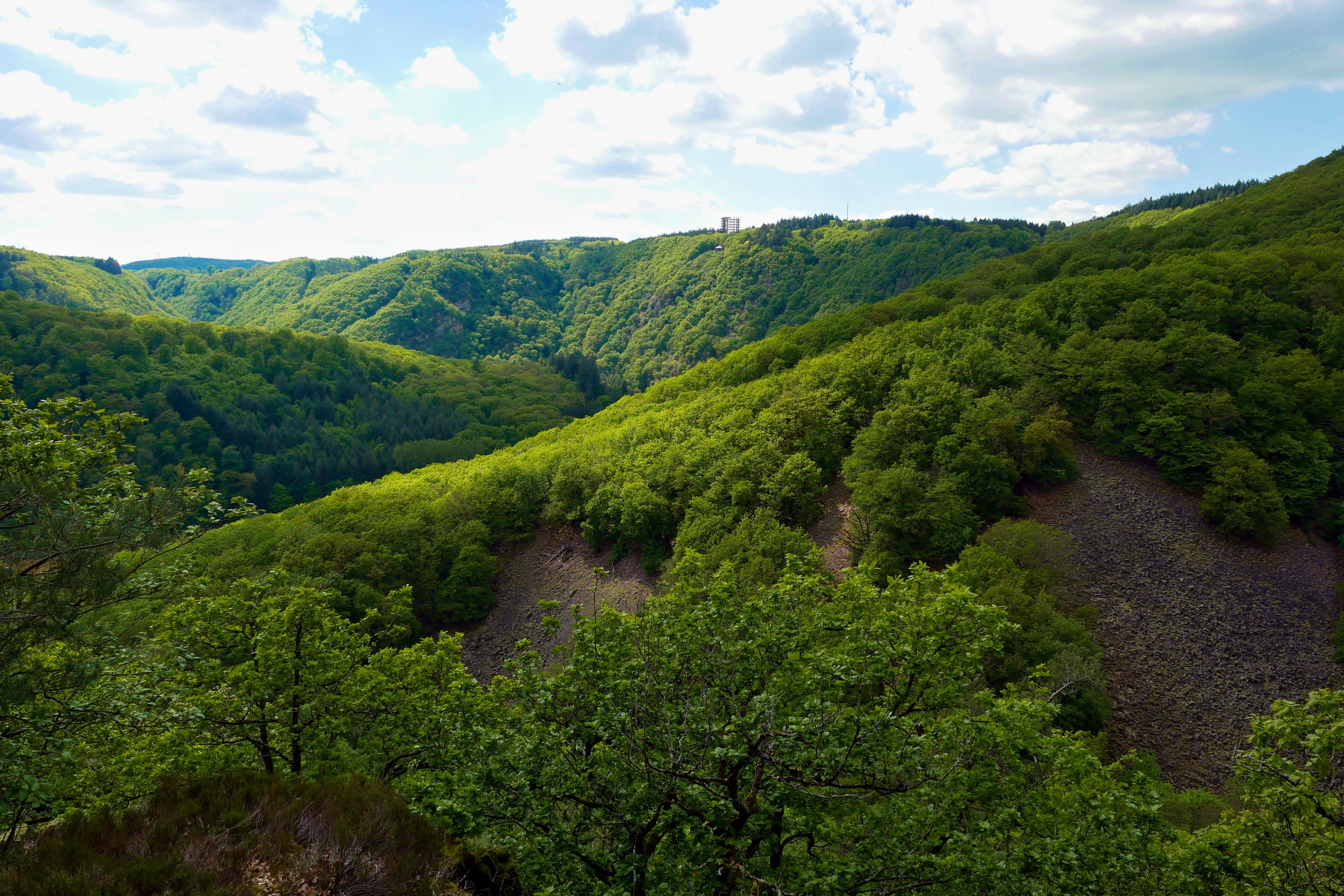Saar-Steilhänge