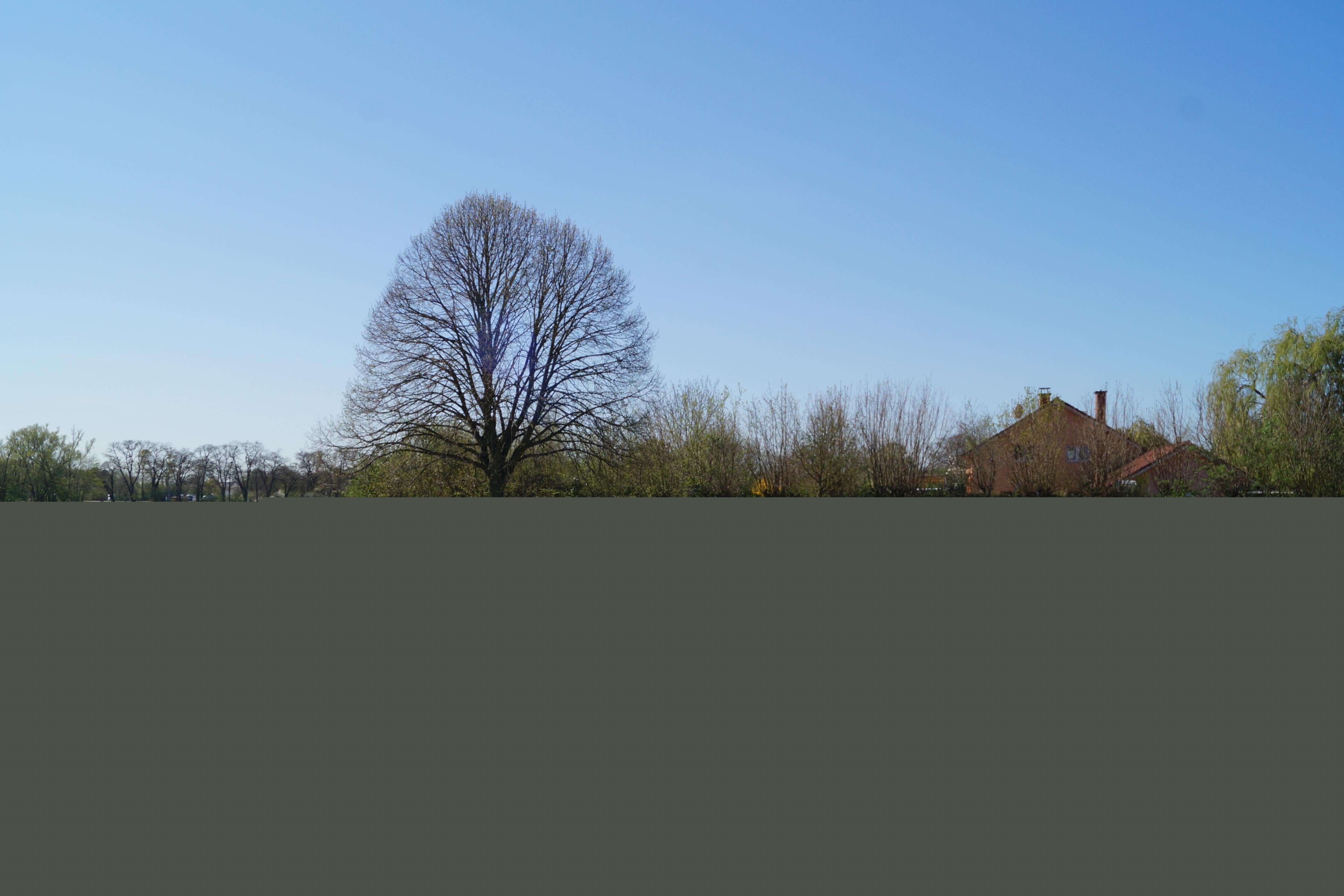 Kloster Altenmünster Lorsch