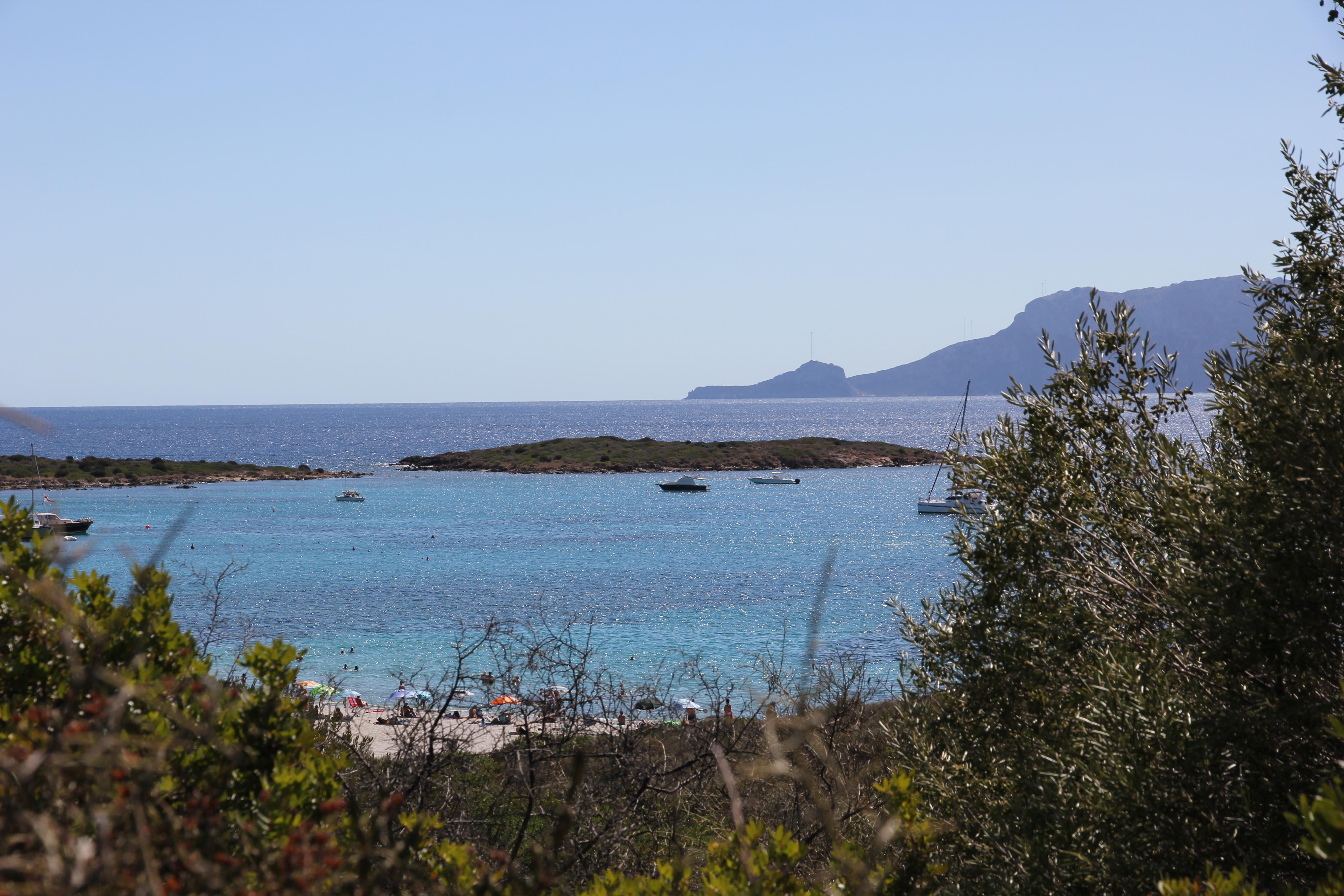 Isola dei Porri