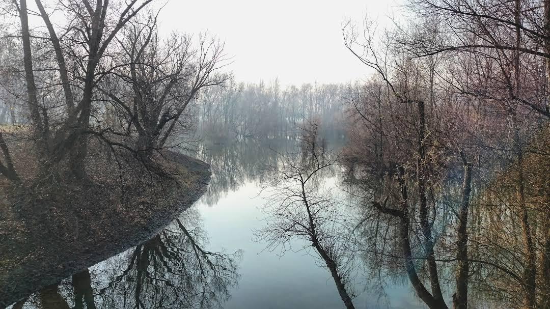 Jarun-See