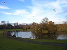 Braunstone Park & Rowley Fields