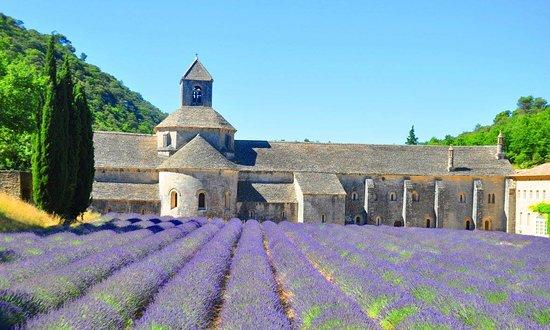 Abbaye de Senanque