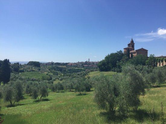 Basilica dell'Osservanza