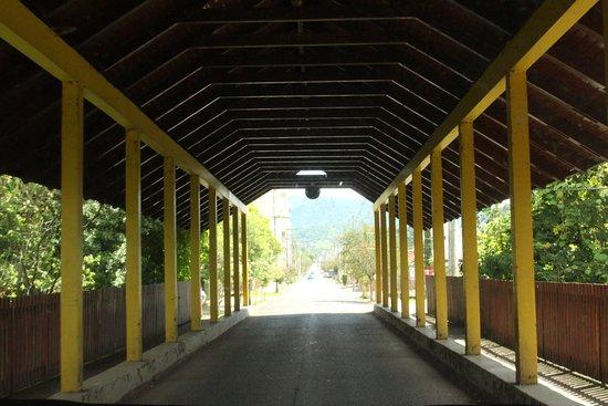 Ponte Coberta Armindo Lauffer