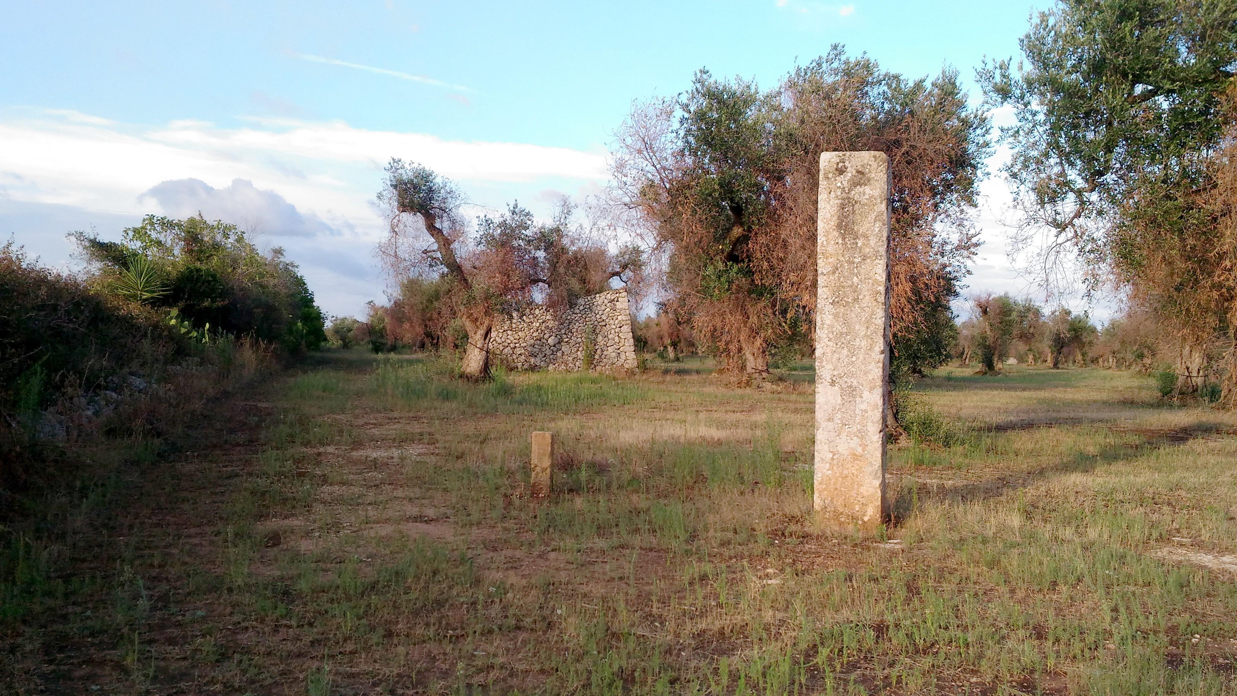 Menhir Spruno