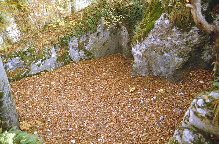 Burg Bärenfels