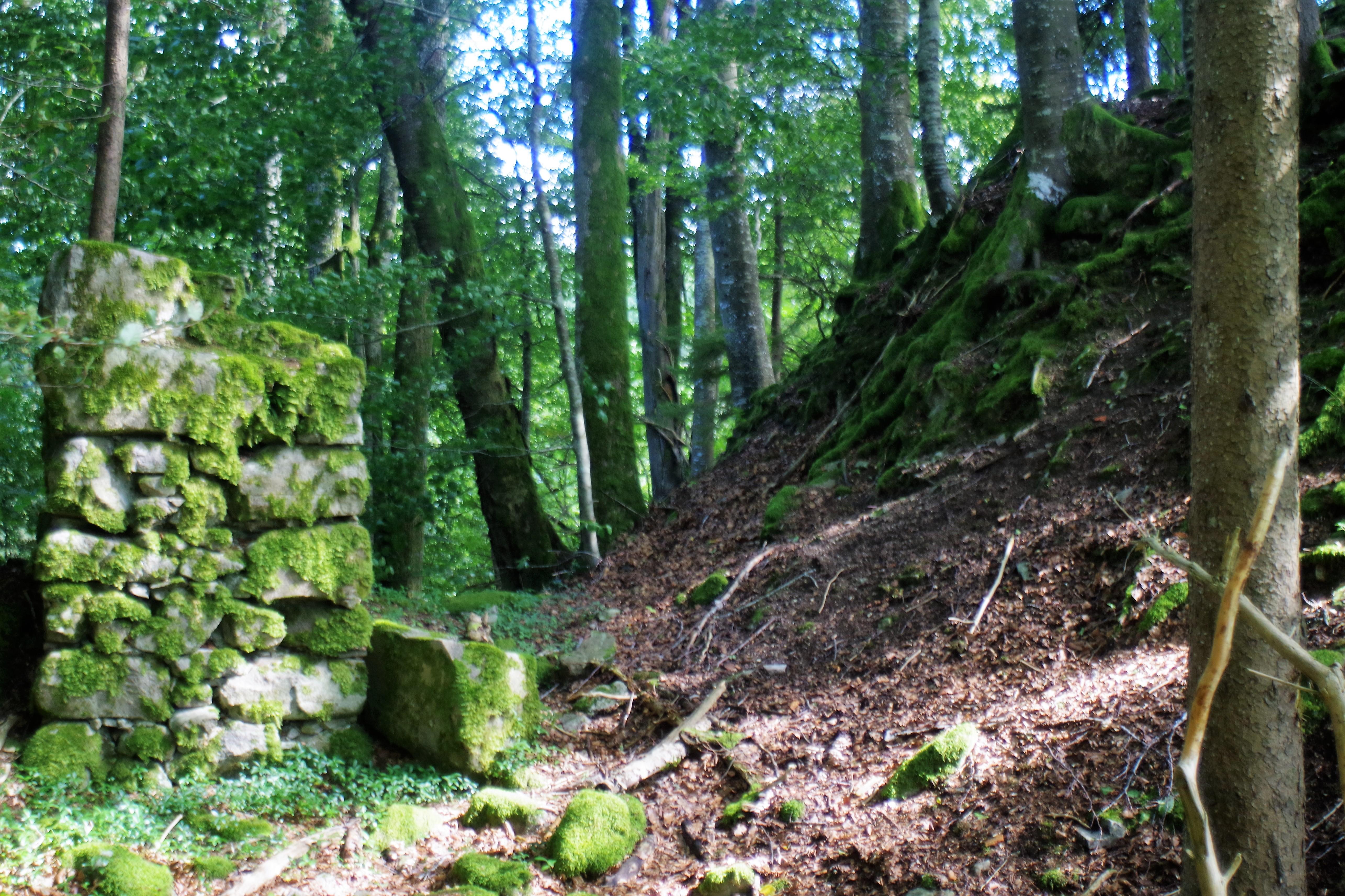 Burg Mandach