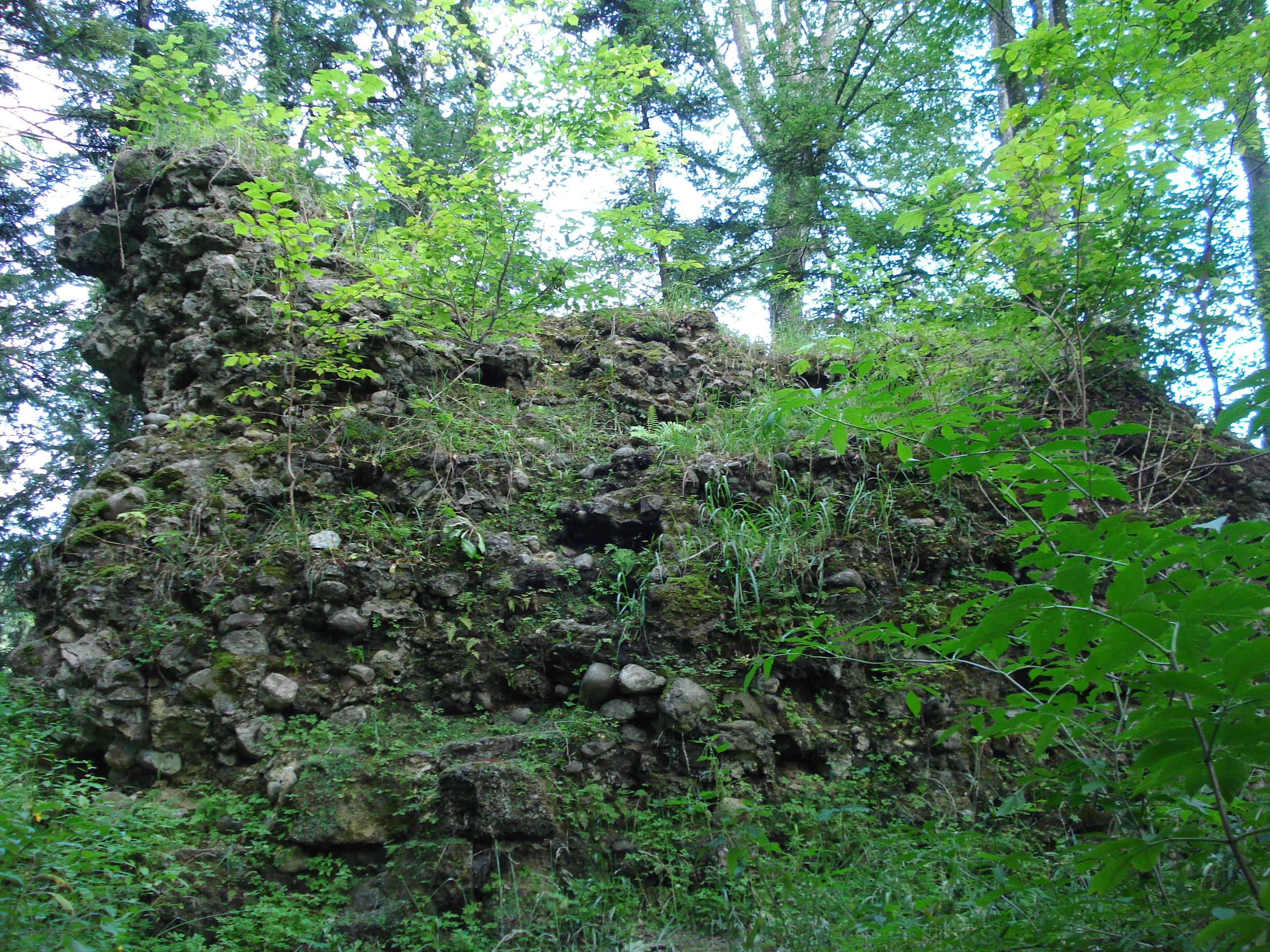 Burgruine Speckerturm