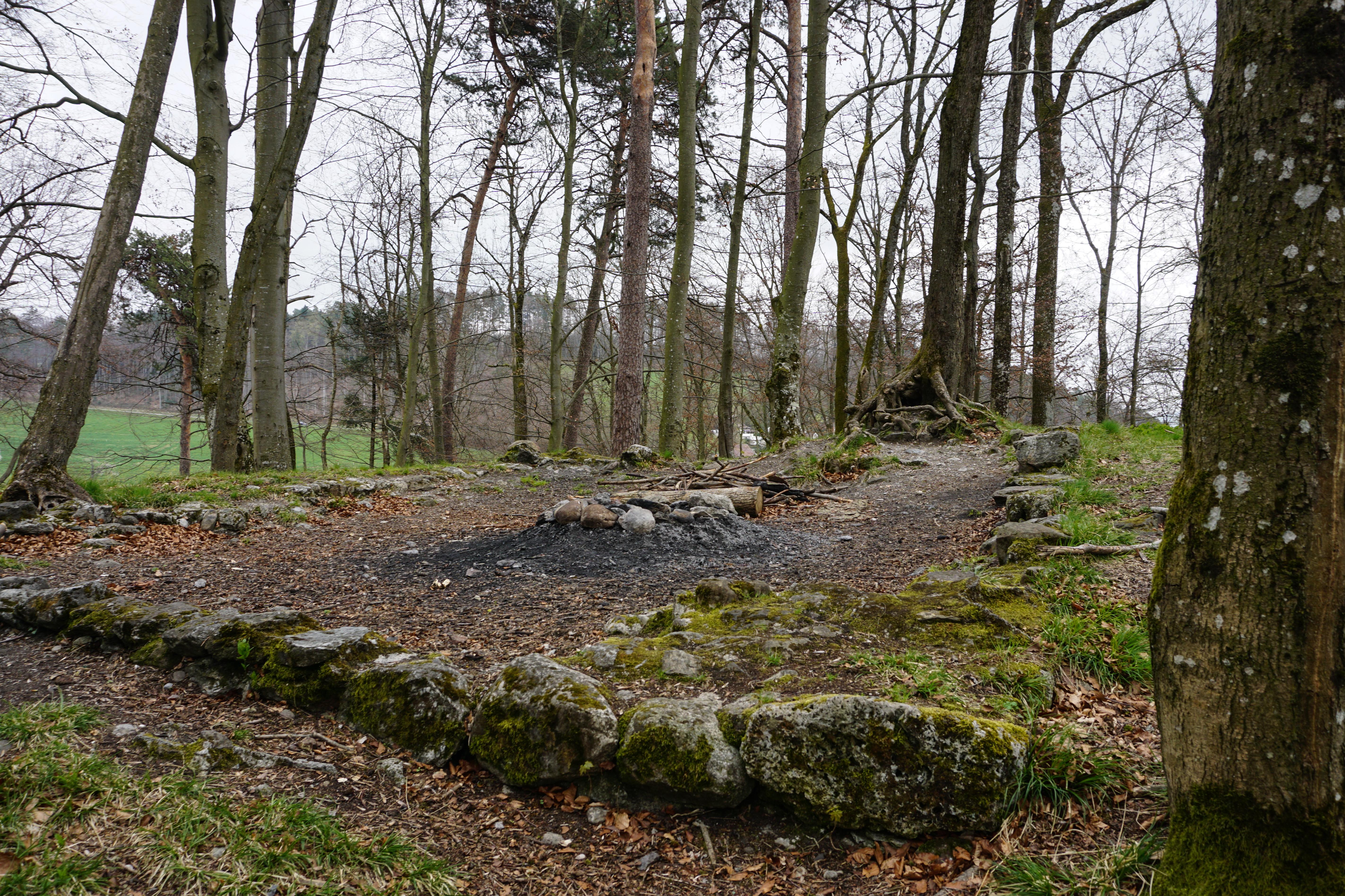 Ruine Schwandiholz