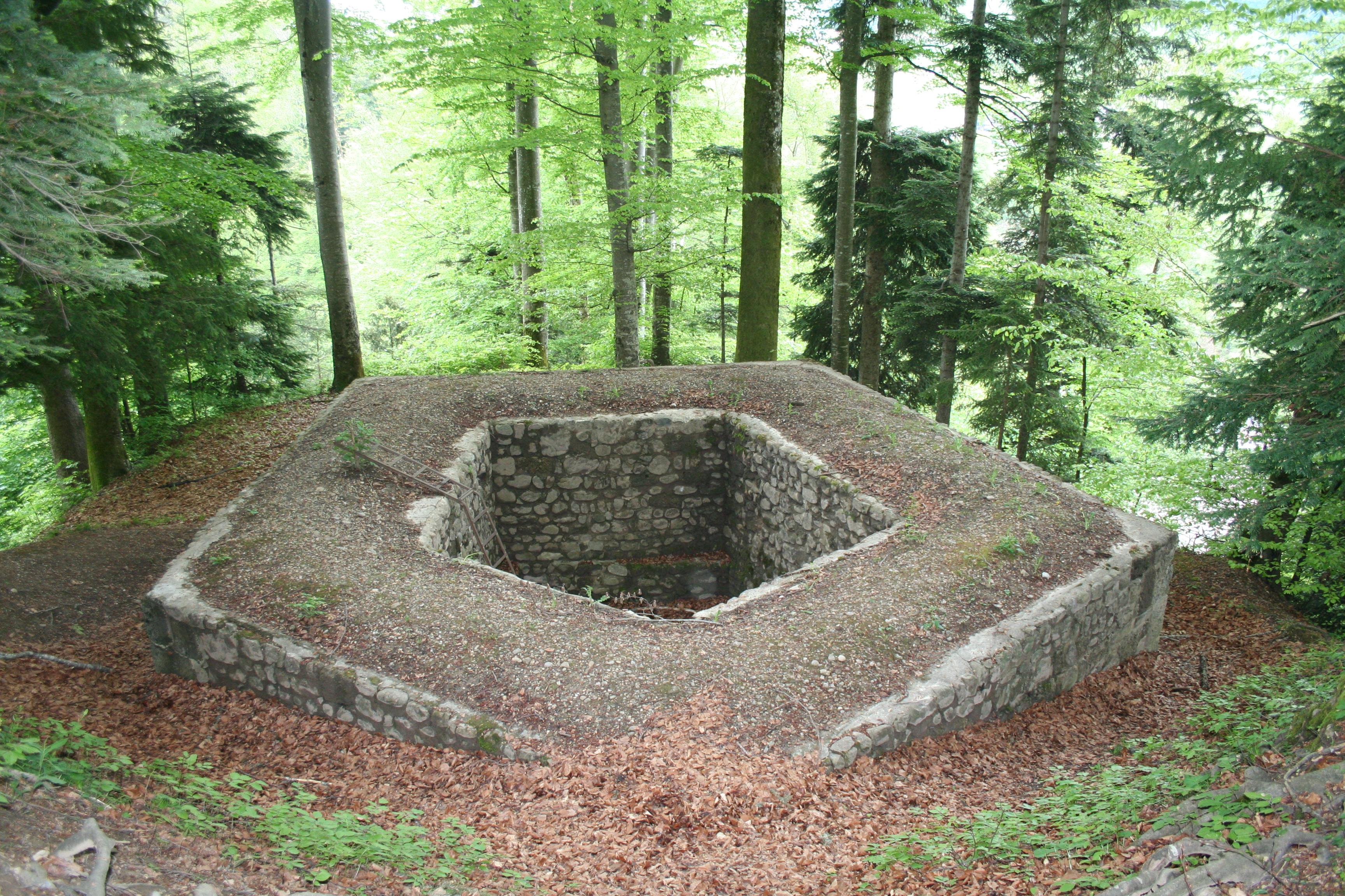 Ruine Oberes Baliken