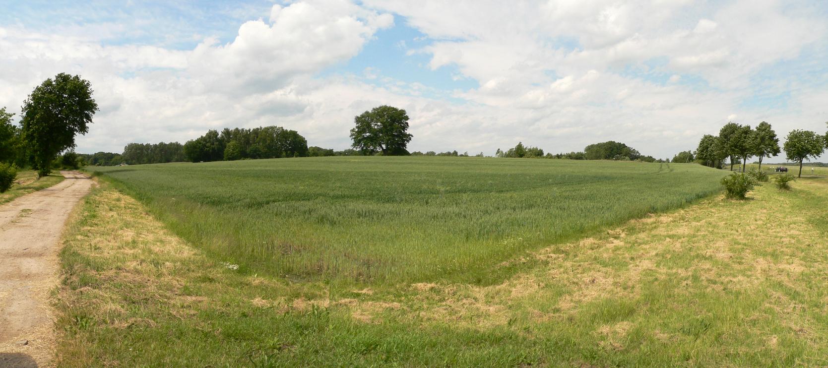 Kronsberg