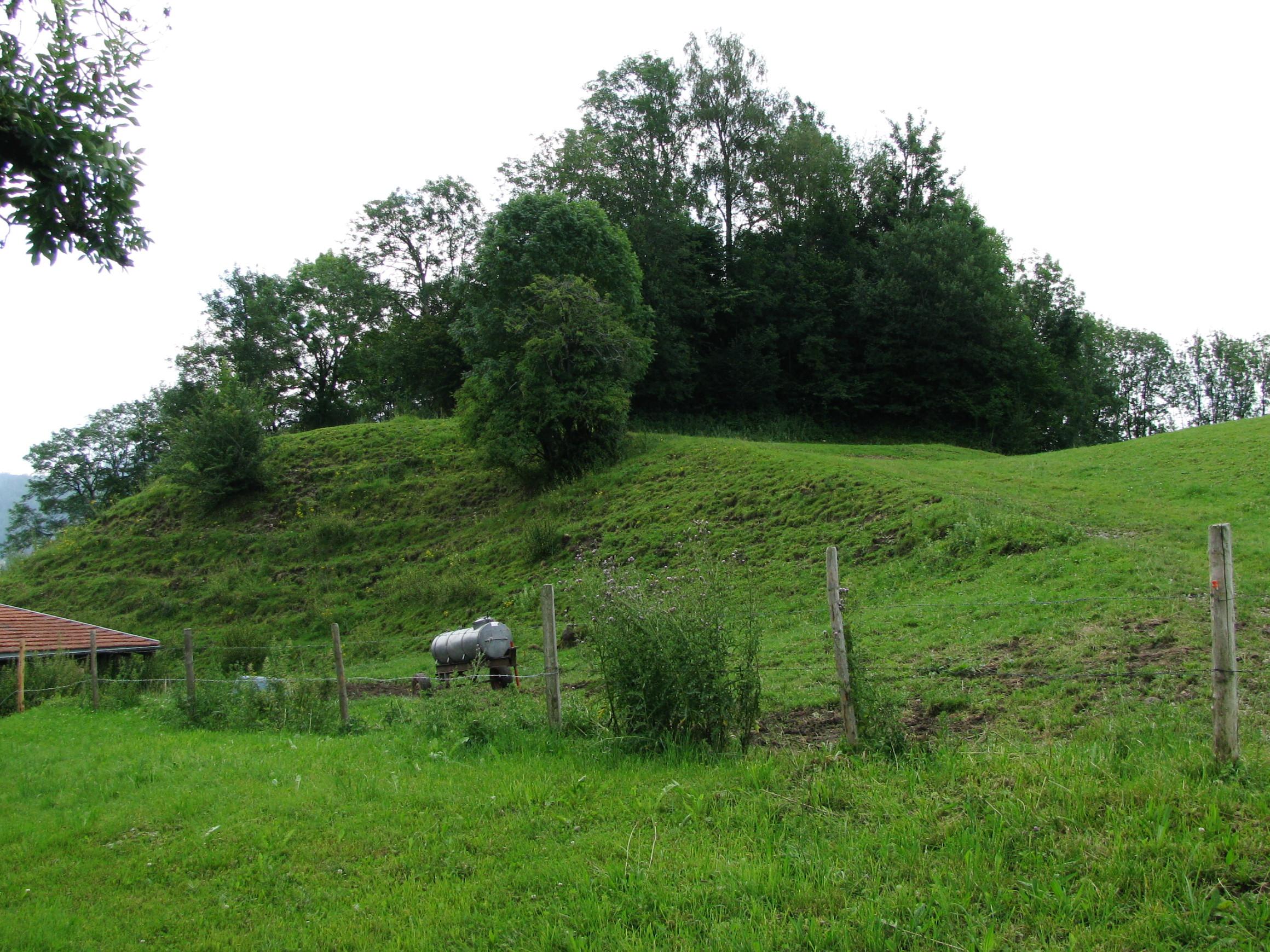 Burg Ringenberg