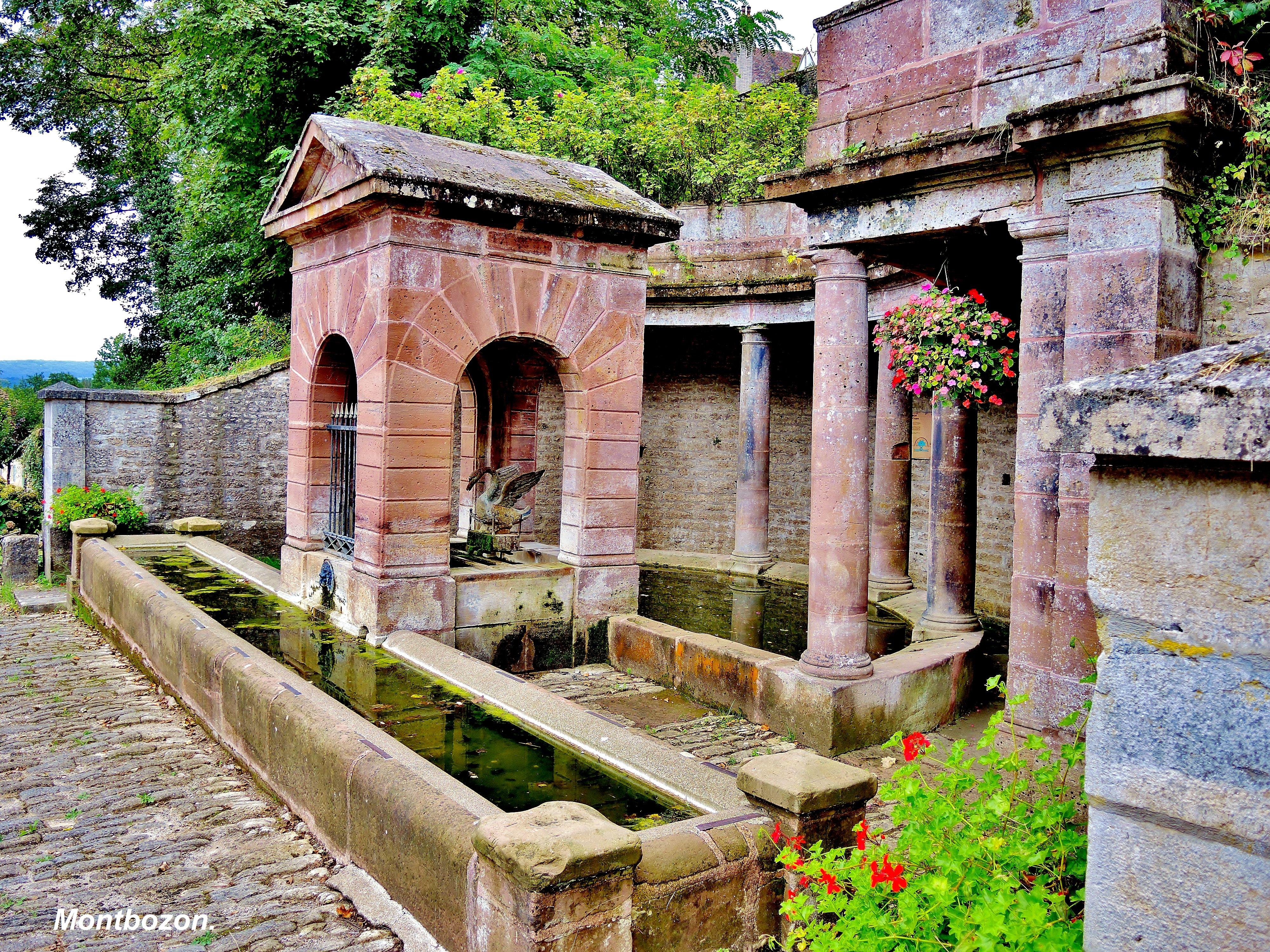 fontaine du Cygne