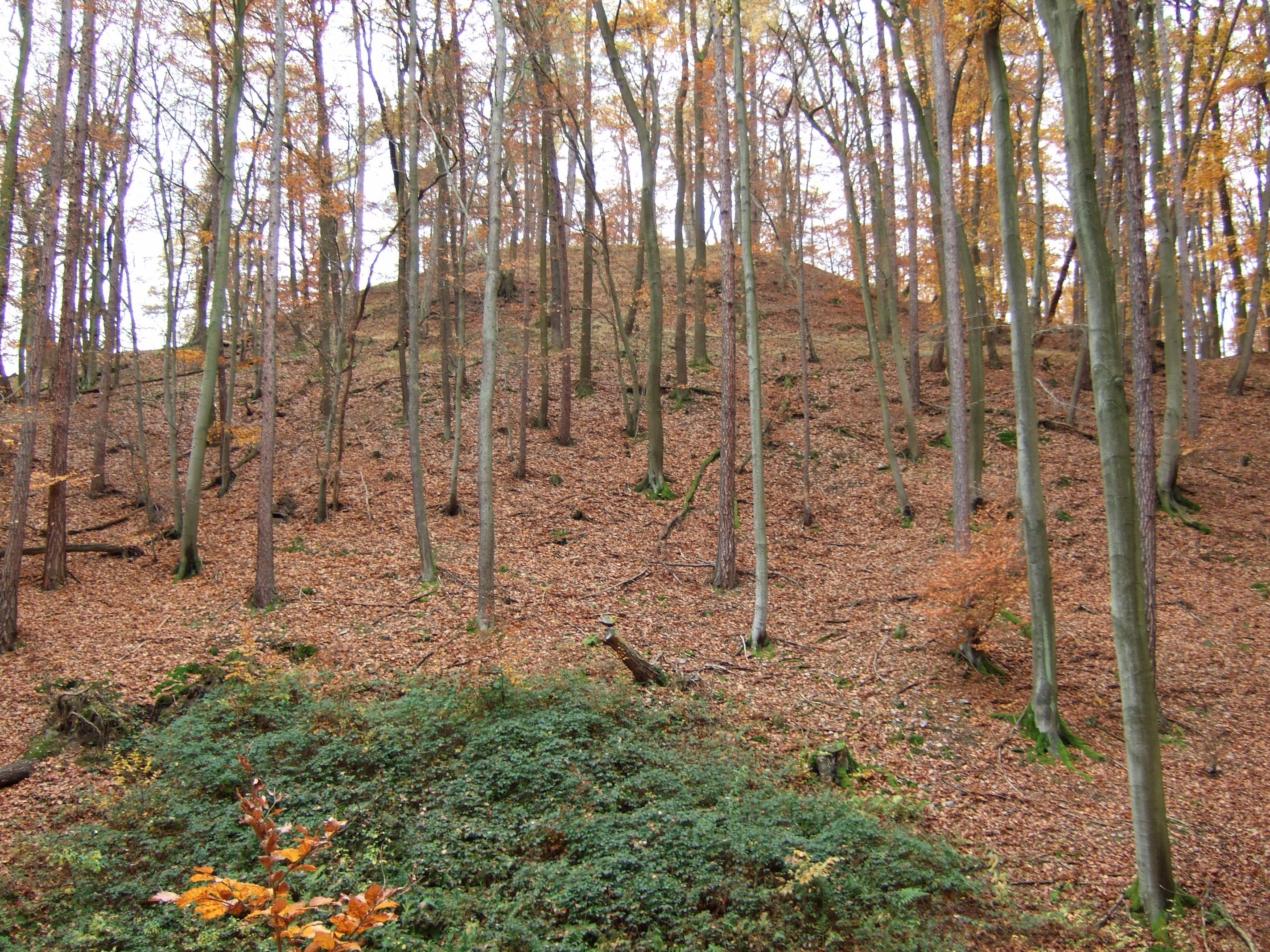 Randenburg