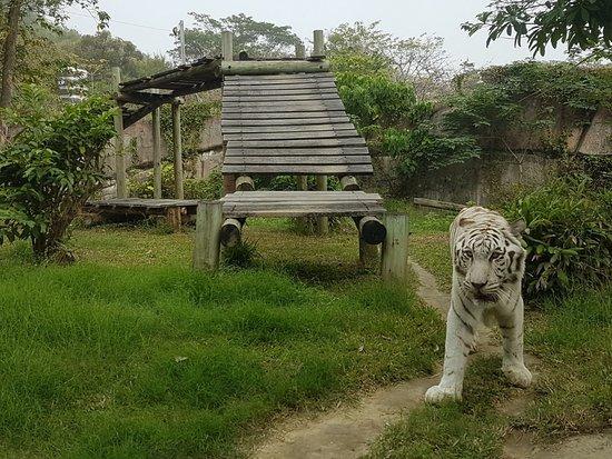 Jardim Zoológico de Shoushan