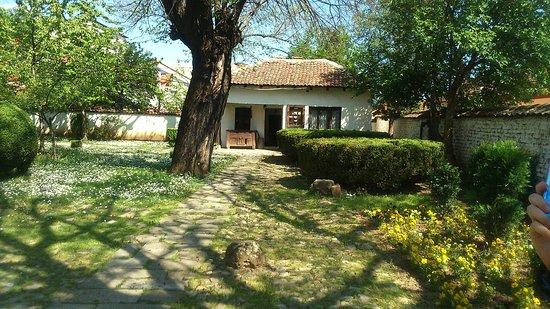 Museum houses of Bora Stankovic