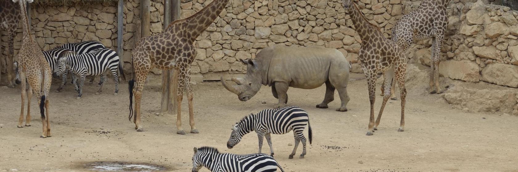 Tisch Family Zoological Gardens