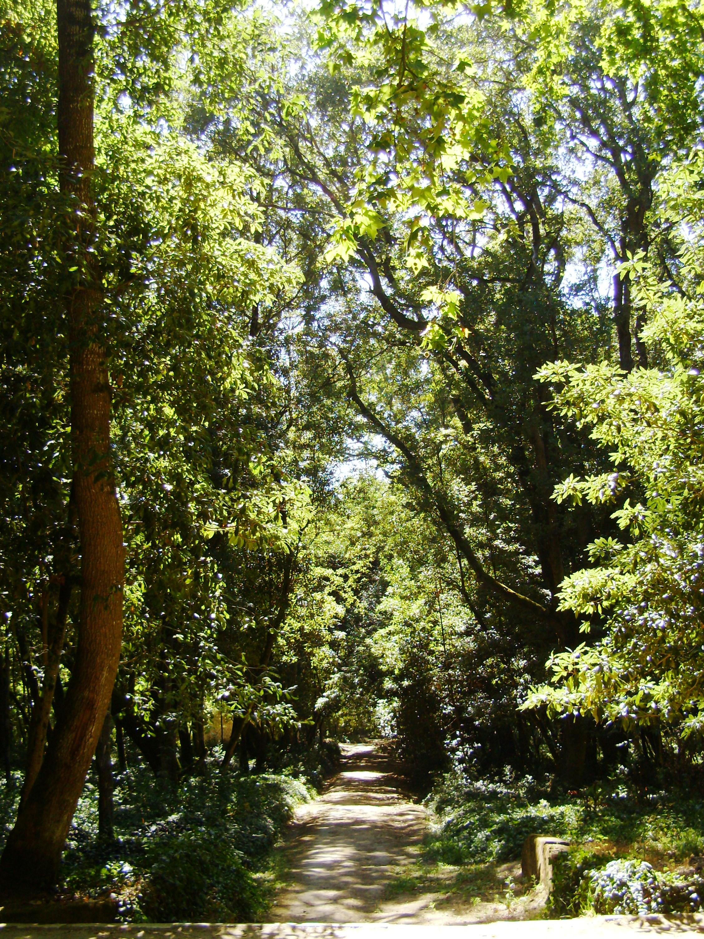 Mata Rainha D. Leonor