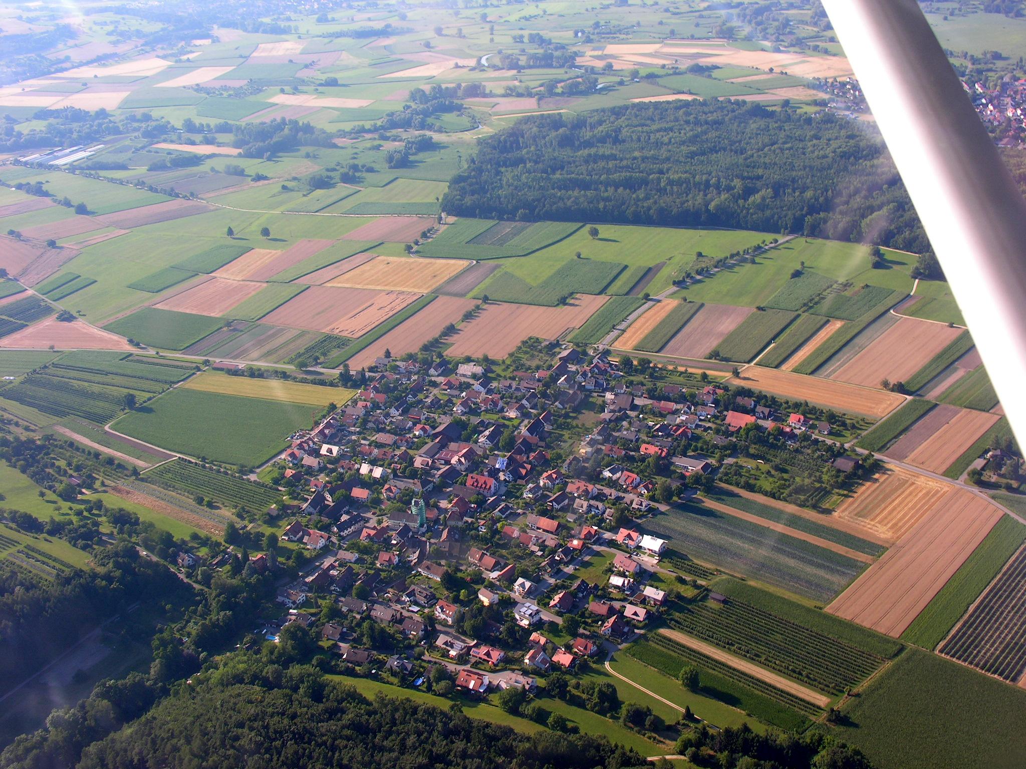 Bankholzen