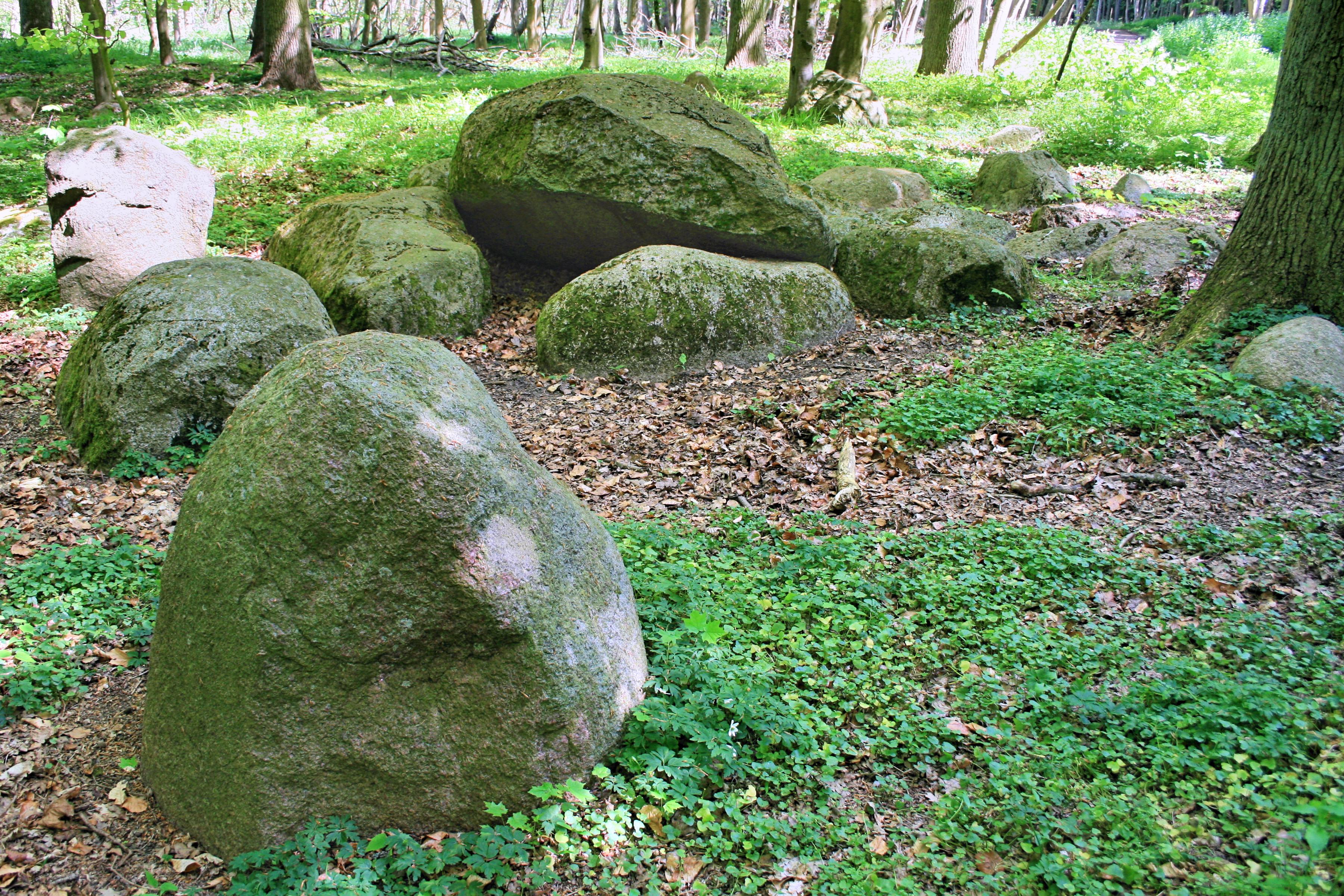 Grosssteingrab Alt Reddevitz