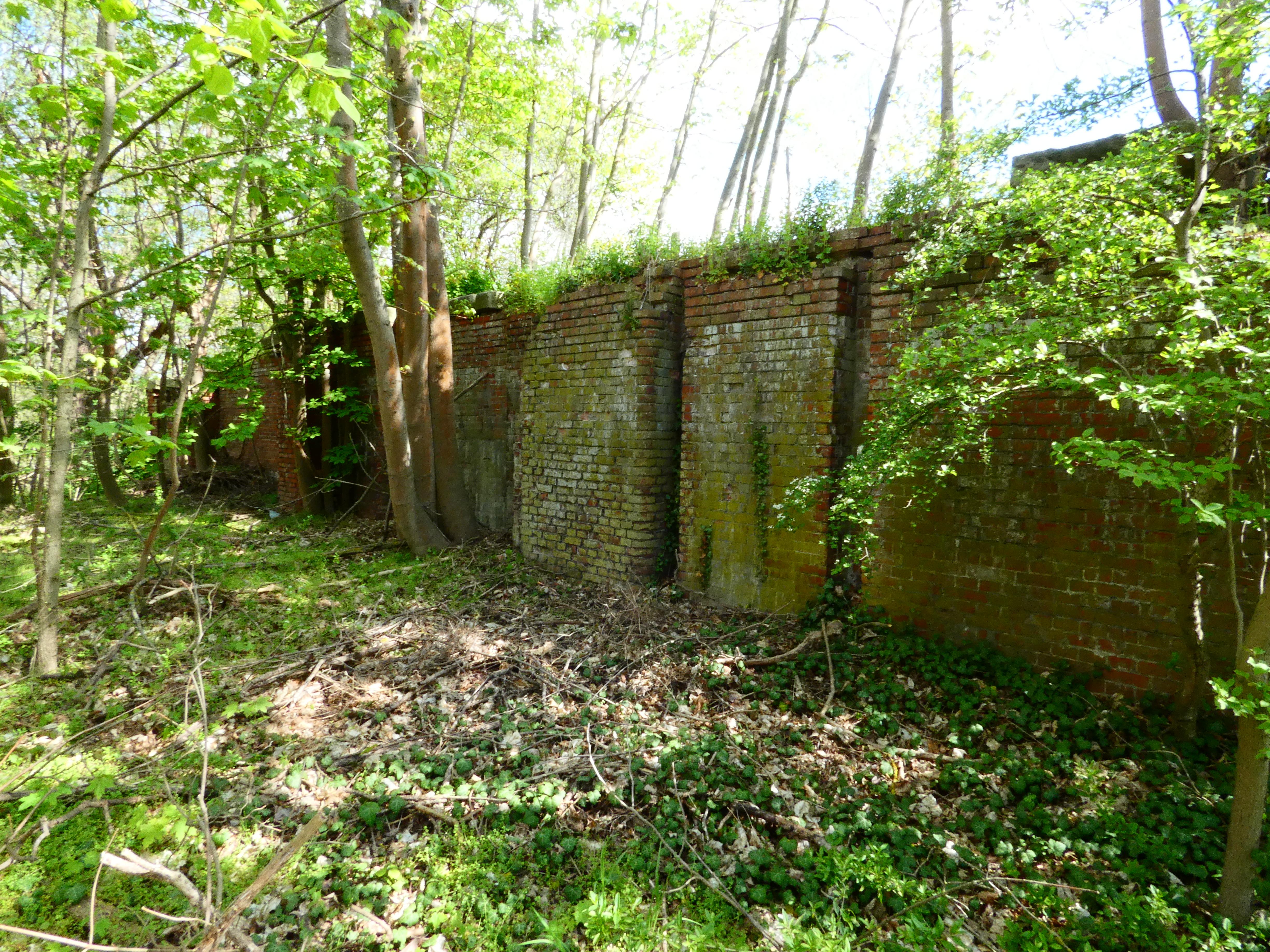 Alte Schleuse Parey