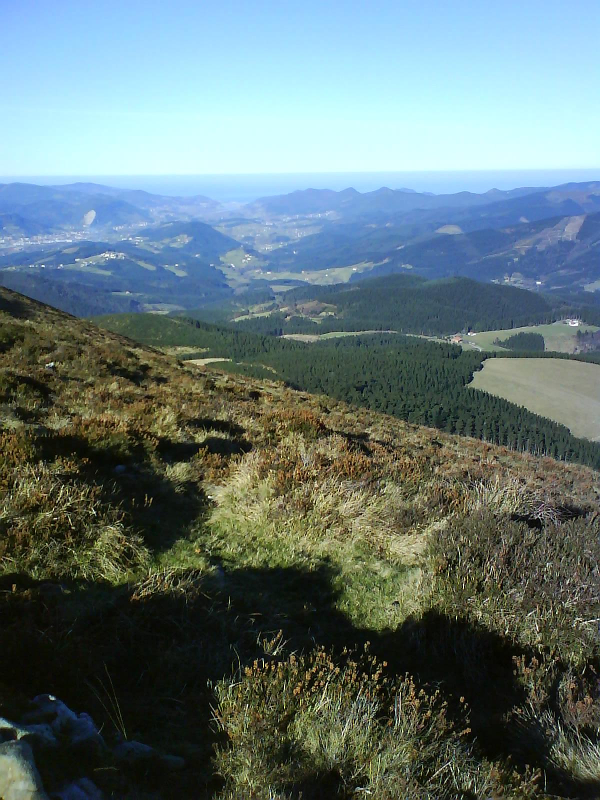 Urdaibai