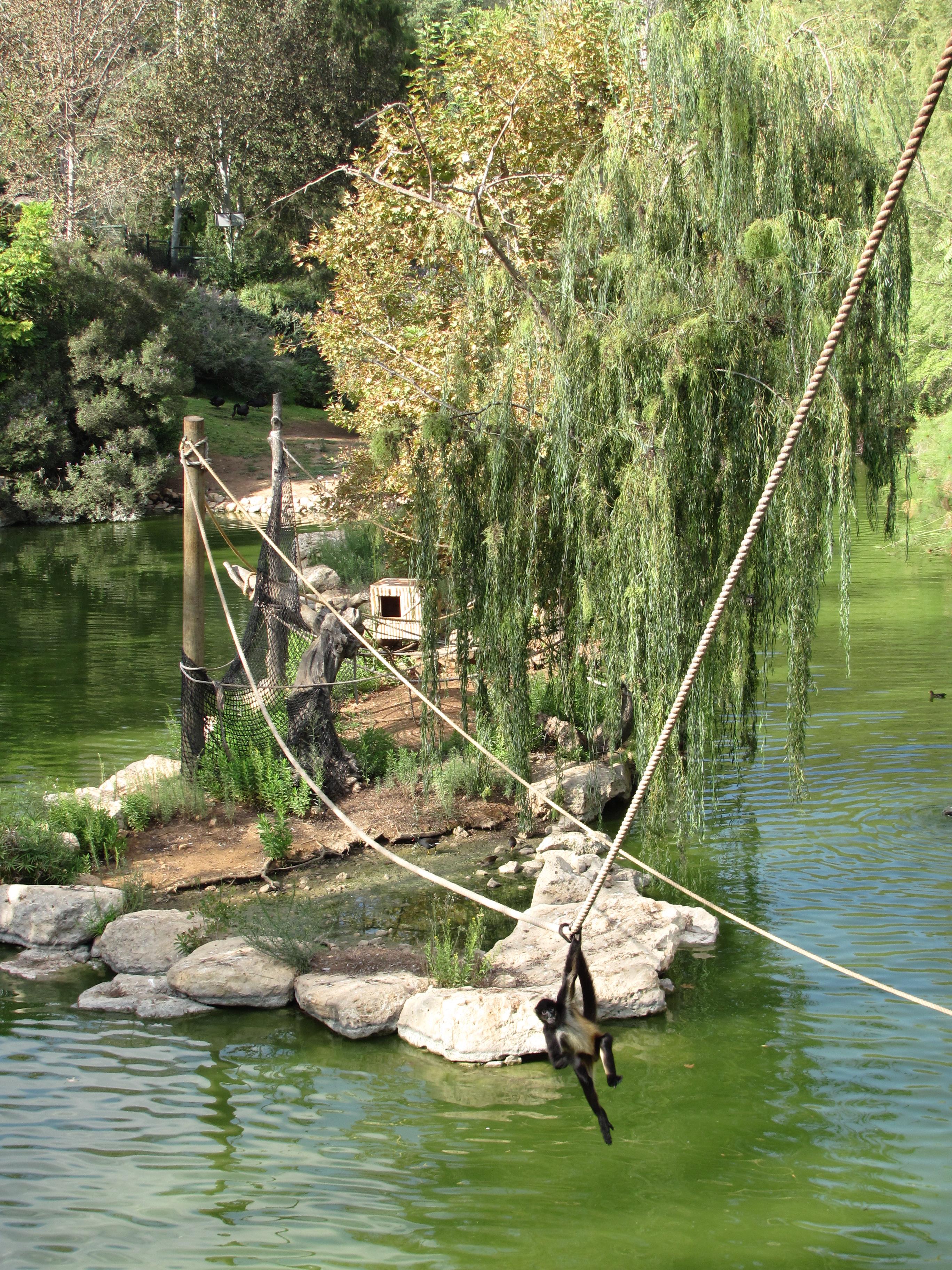 Tisch Family Zoological Gardens
